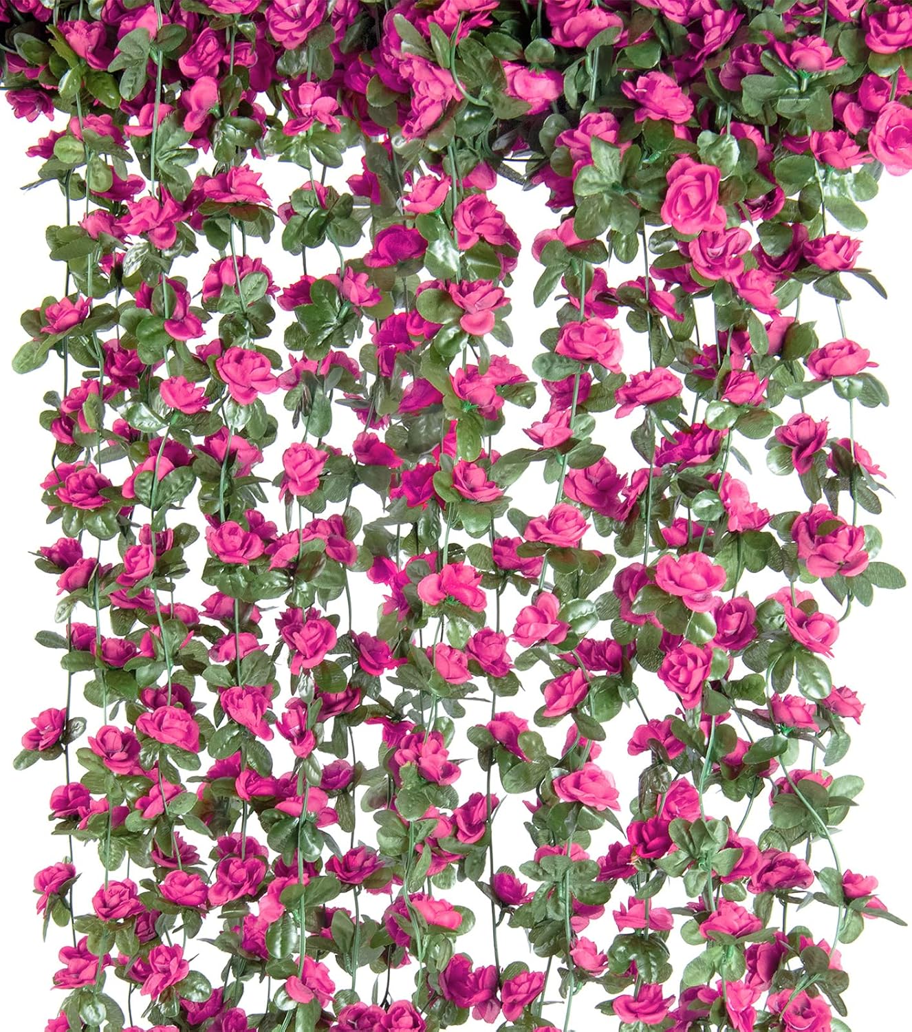 6 Vines 49FT 6 Vines 49FT