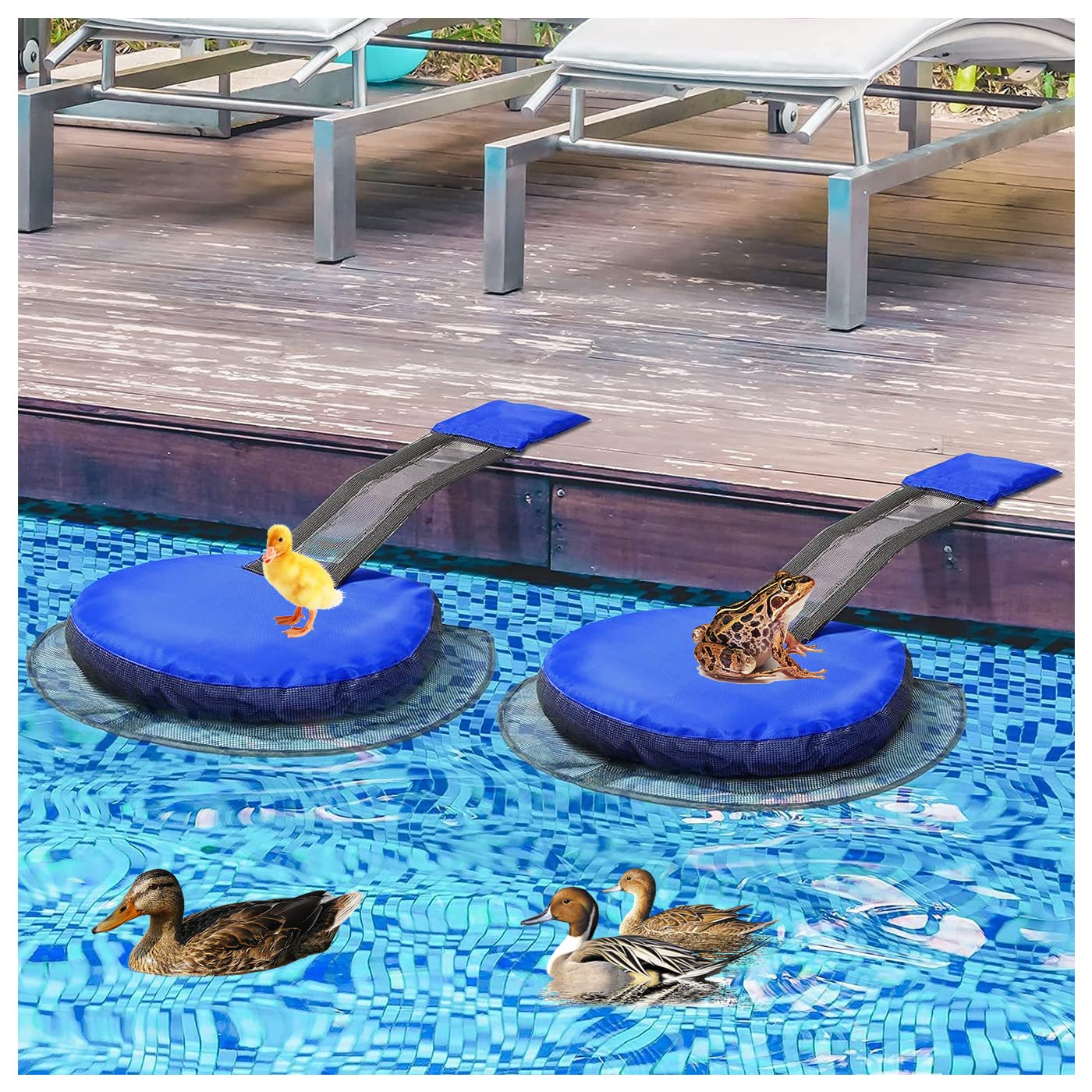 Skimmer Saver 2-Pack S - Floating Escape Ramps For Frogs, Birds & Small ...
