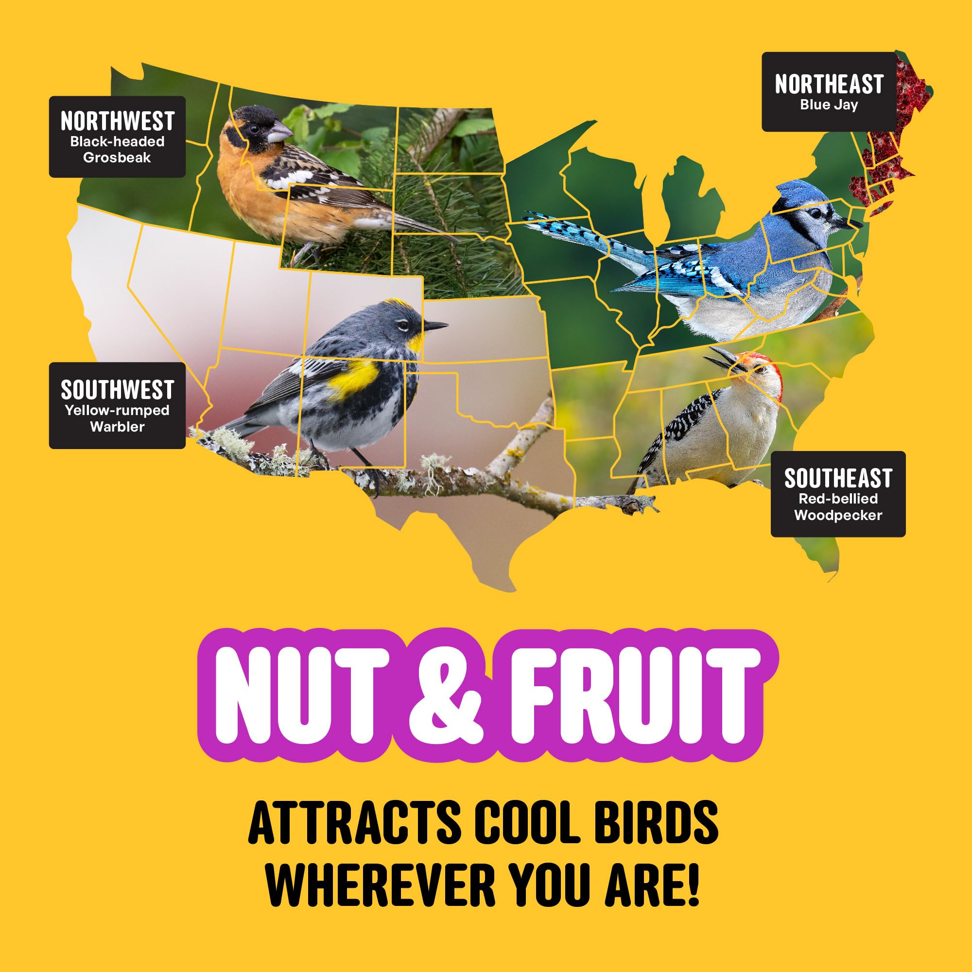 Cool Birds Nut & Fruit - Semi per uccelli selvatici, 4,5 kg, cibo per uccelli gourmet con cuori di girasole, arachidi, noci e frutta vera, senza mais, milo o miglio, per mangiatoie esterne