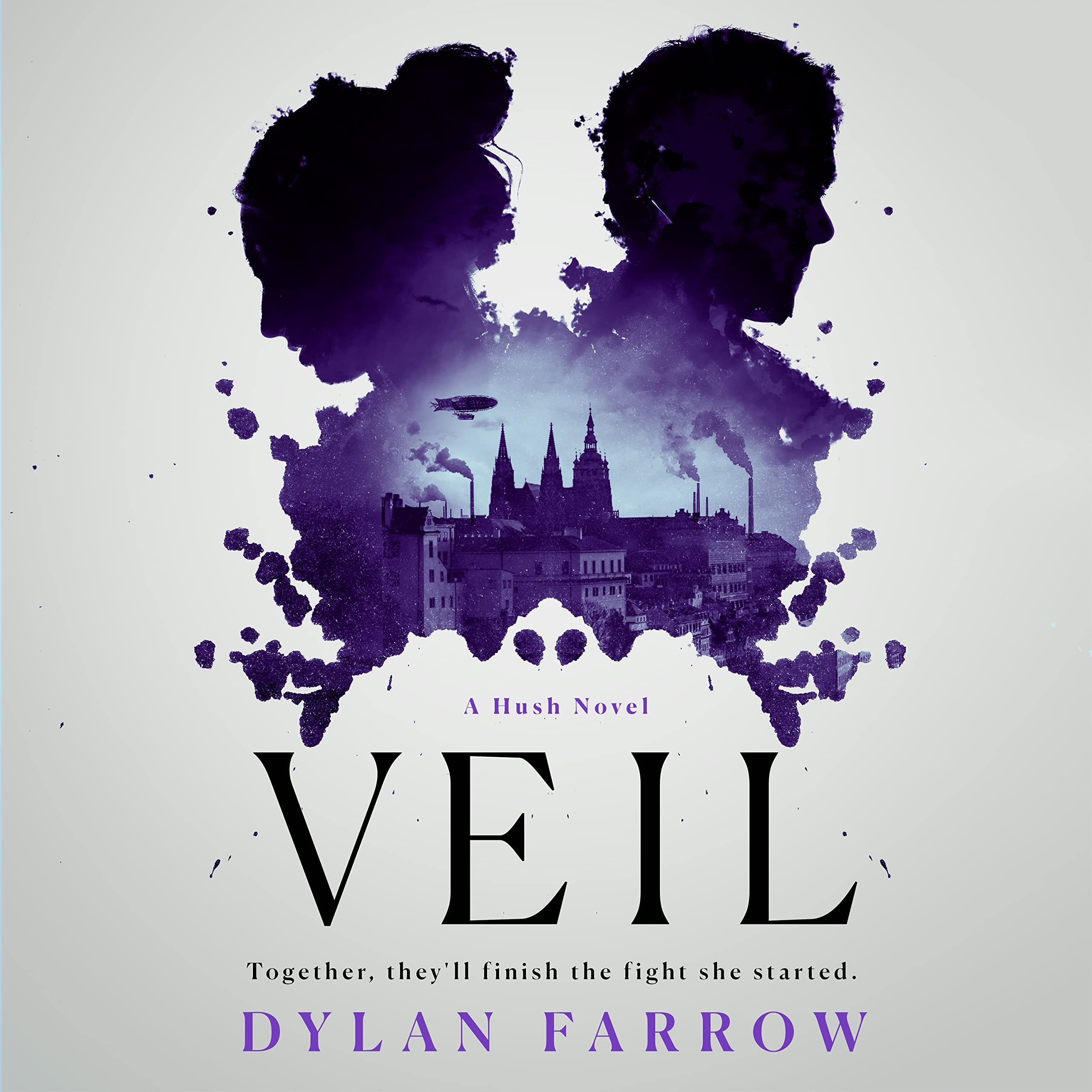 Book cover for Veil
