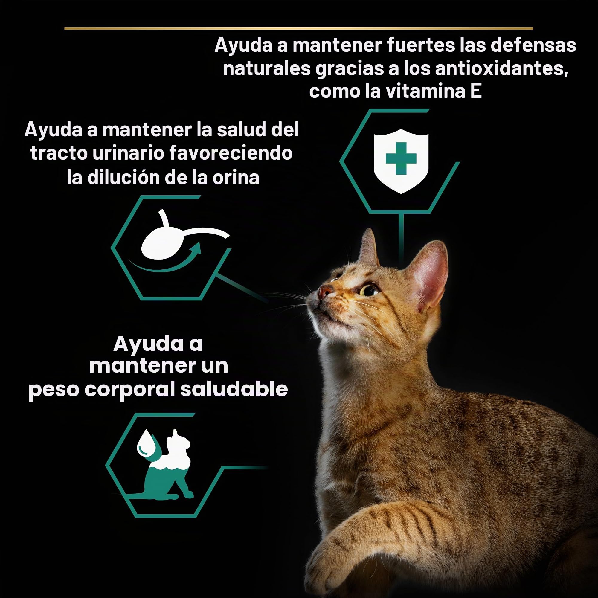 Purina Pro Plan Sterilised - Comida húmeda para Gatos Adultos esterilizados, Pedazos de gelatina con Pescado del océano, 26 Bolsas de 85 g