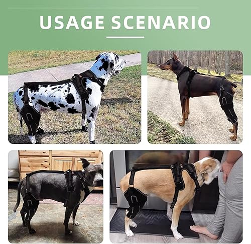 Miniatura 5 de Rodillera para perro para lesiones de ACL/CCL, ligamento desgarrado, alivio del dolor, calor en las articulaciones, rótula luxante, soporte de