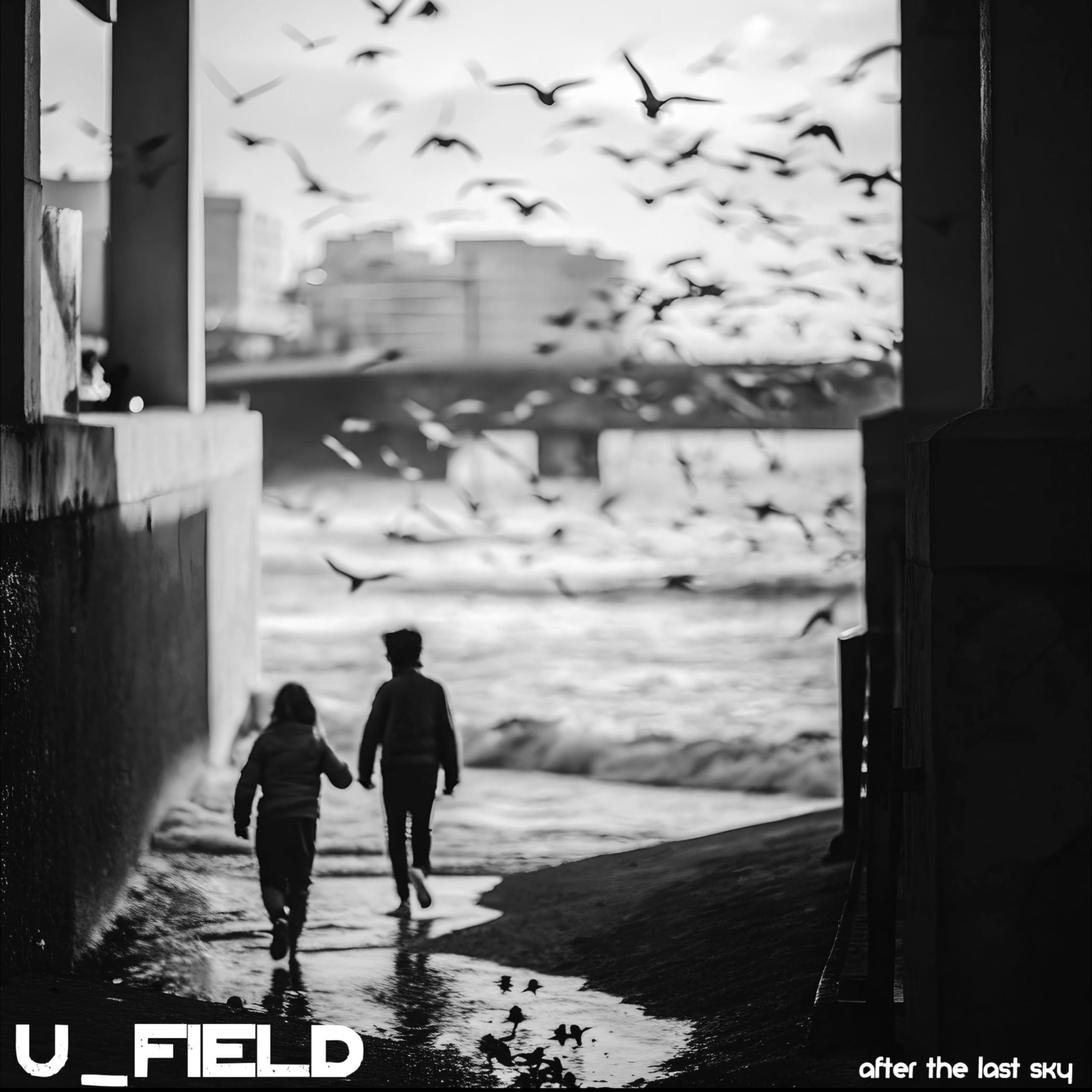 U_FIELD
