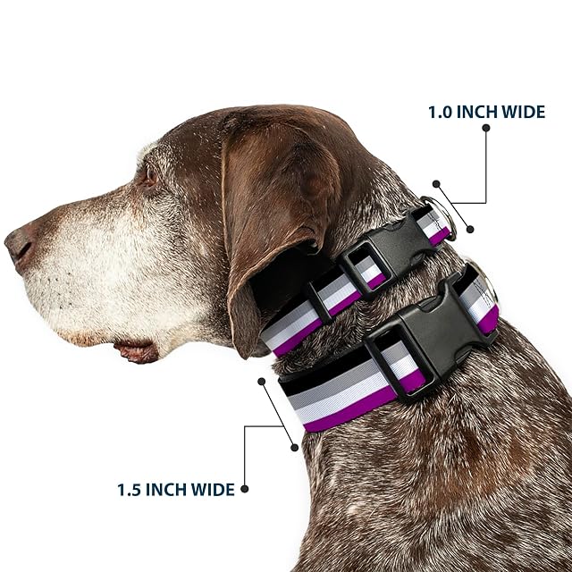 Foto 2 de 8 de Buckle Down Bandera Asexual Negro/Gris/Blanco/Morado Plástico Clip Collar