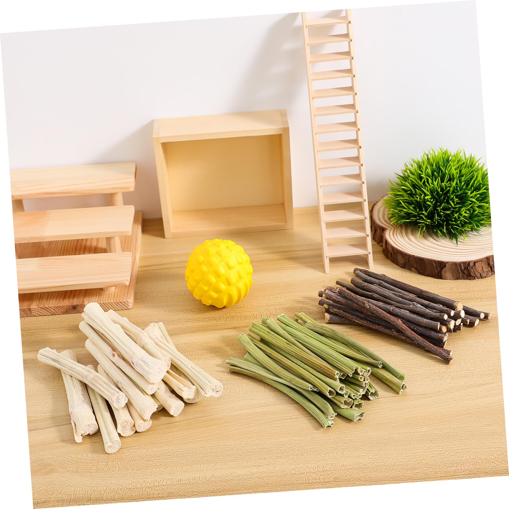 Toddmomy Giocattoli da Masticare per Conigli Bastoncini Naturali in Legno per Denti Piccoli Animali 55 Pezzi Snack Legnosi per Criceti Cincillà e Porcellini D’india