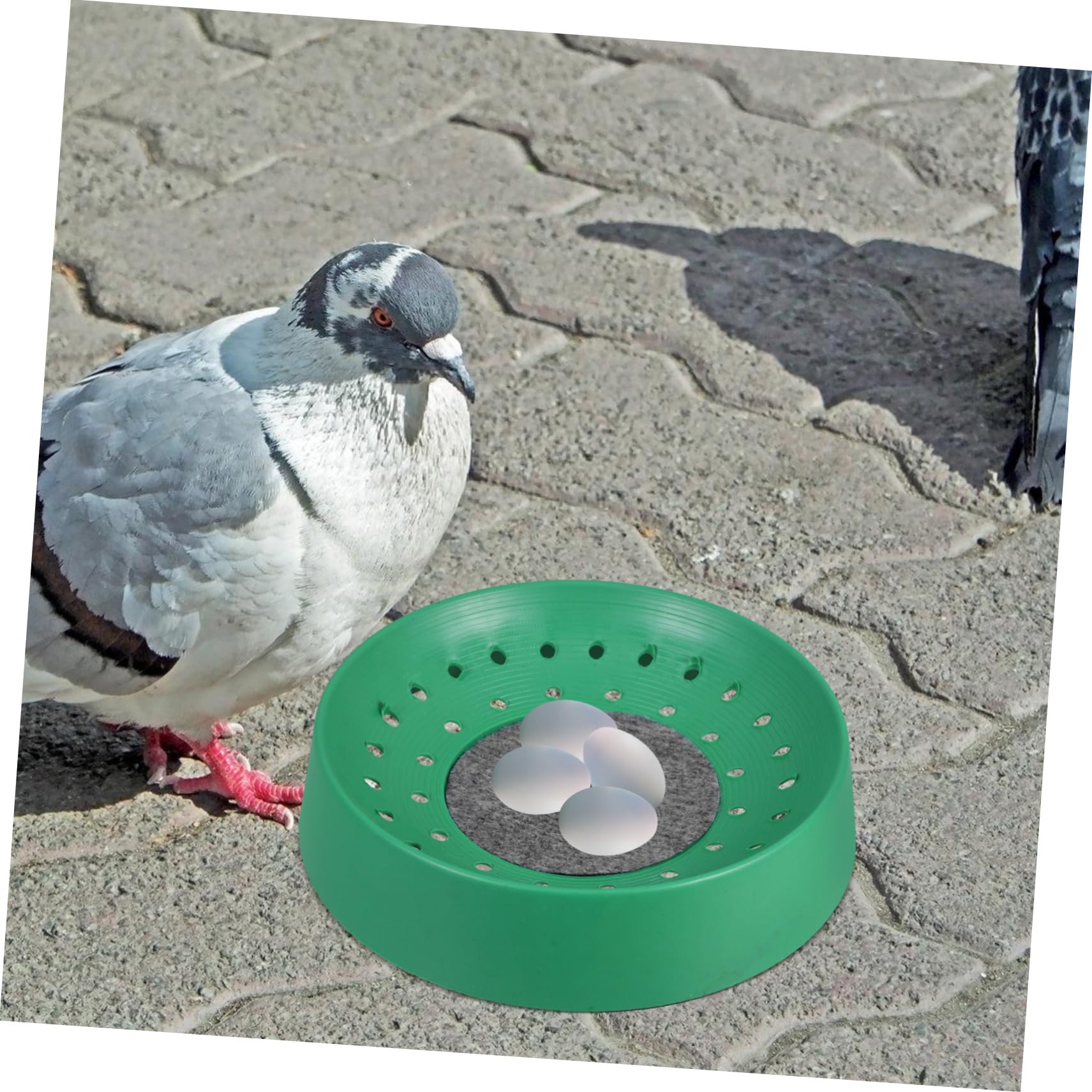 Cuencos para Nidos de Aves y Pájaros Función Resistente, Plástico Duradero, Tamaño Mediano, Apto para Jaulas de Aves, para Criadores y Aficionados Avicultura