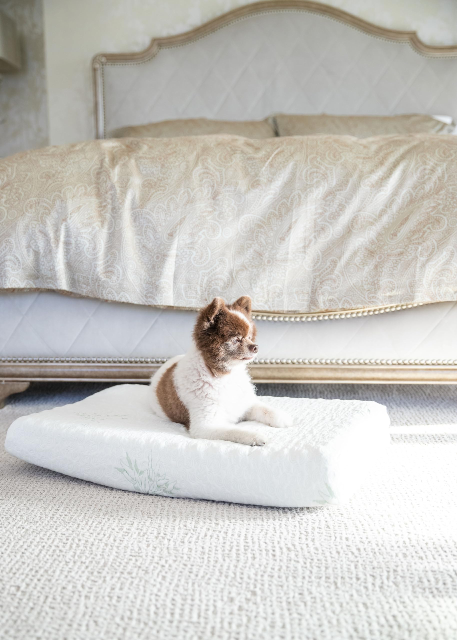 PETIQUE MM01900005 Eco-Friendly Bamboo Memory Foam Pet Bed, Natural, Medium 3