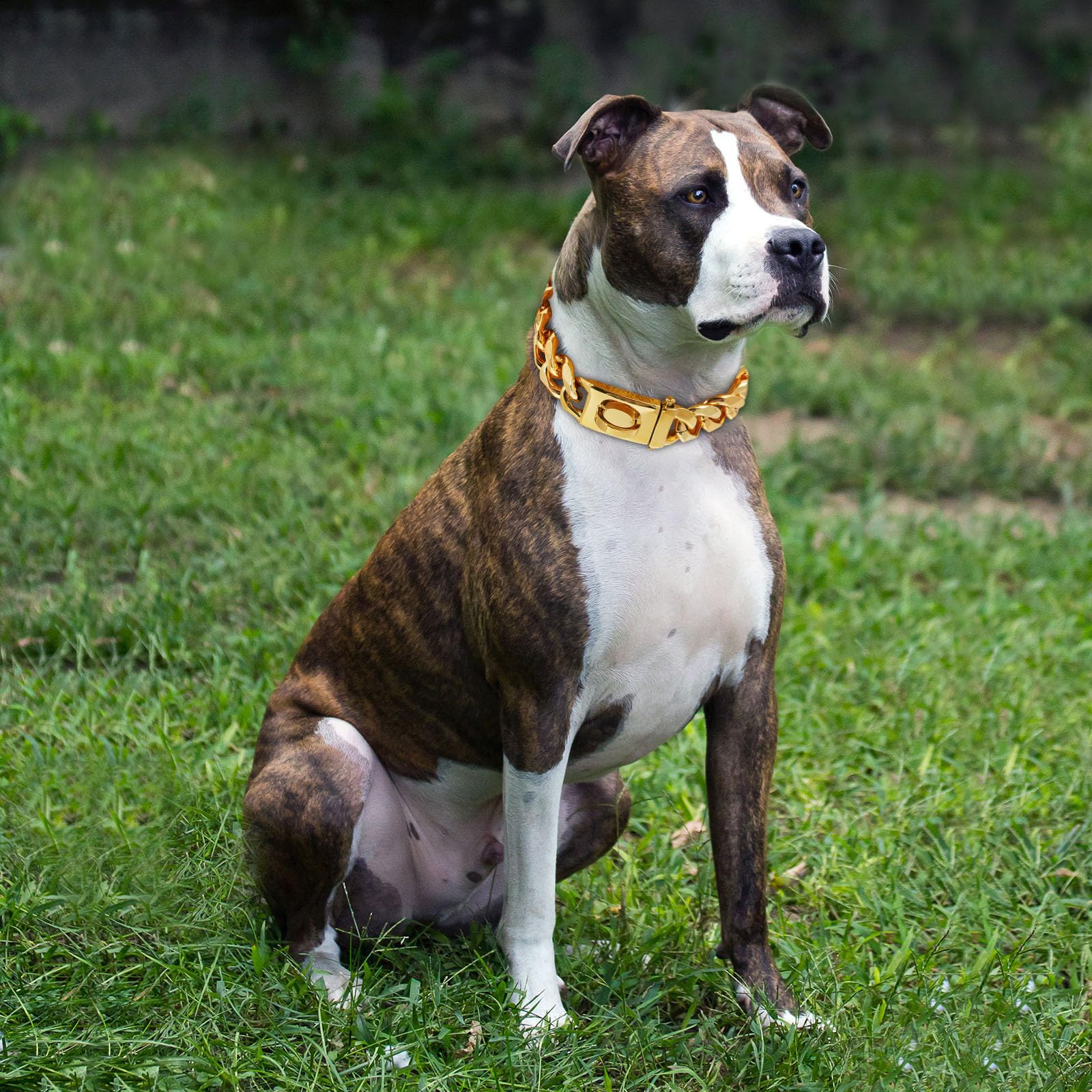 hundebett aus viscoschaum Orthopädisches Hundebett ANTON Cord Olive main image 1