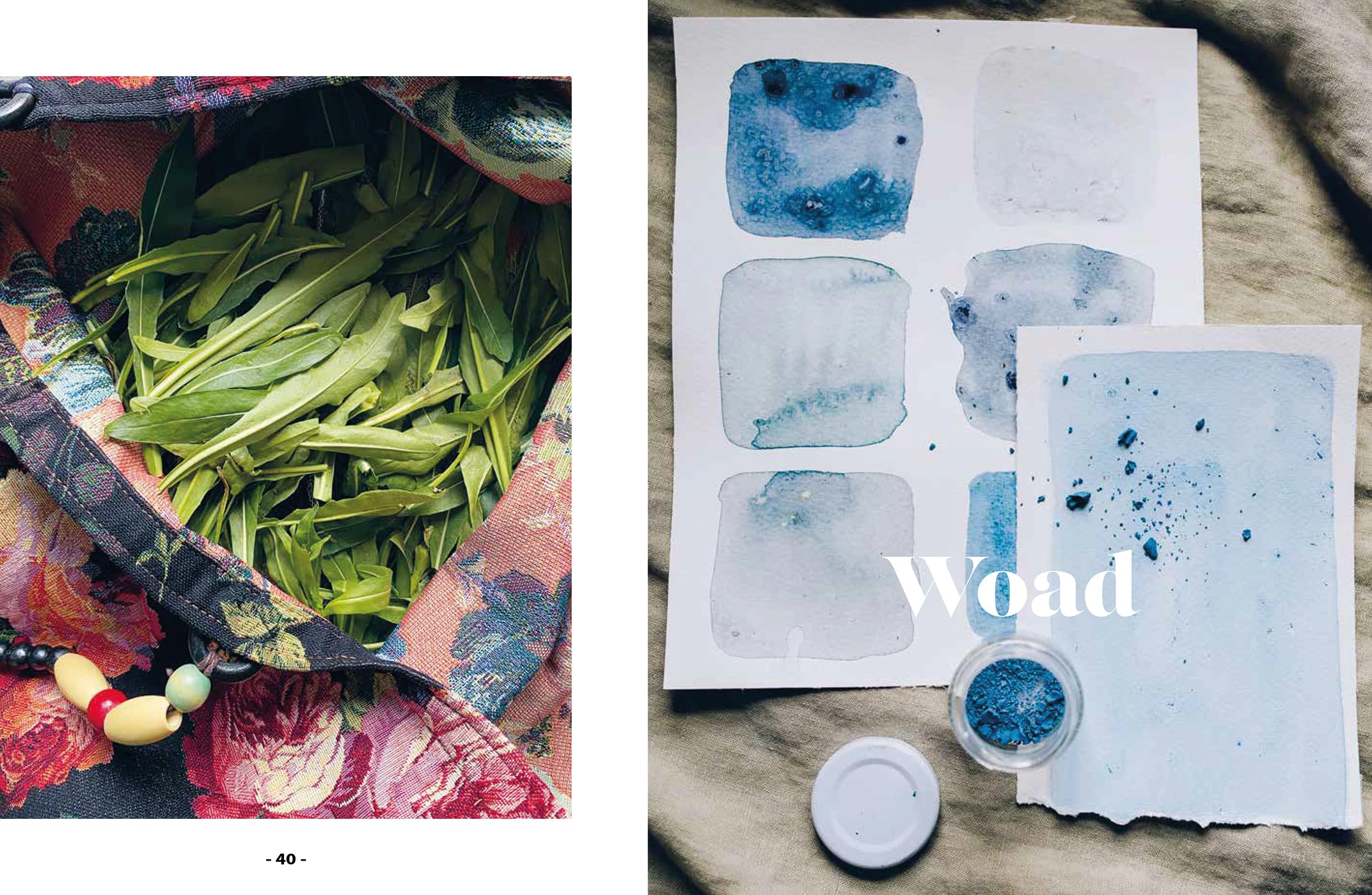Plant and Ink: Make Your Own Plant-Based Ink