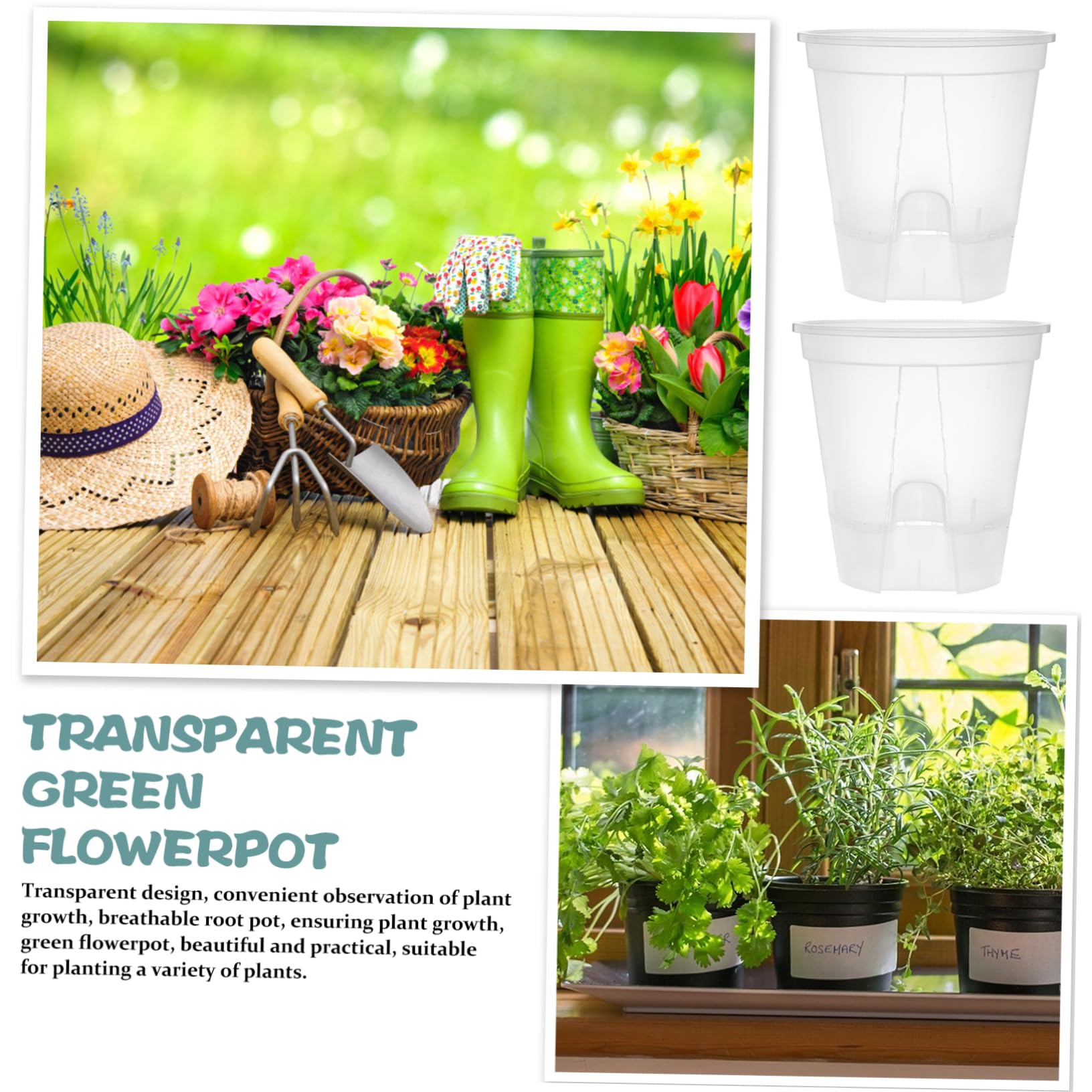 BESPORTBLE 6pièces Lot de Pots à Orchidées Transparents avec Drainage Automatique pour Plantes Intérieur Et Pépinière