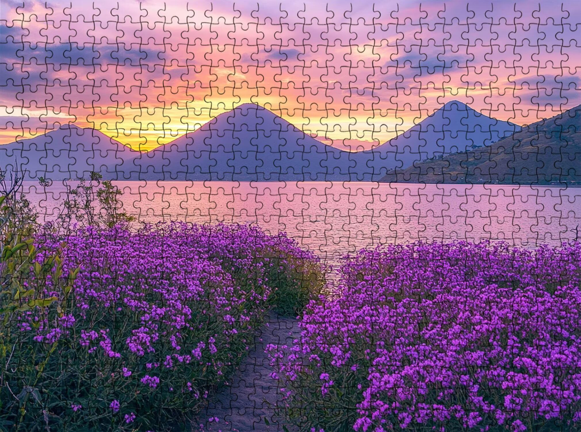 Puzzle 1000 Pezzi Classici, Puzzle paesaggio Fiore viola 75 x 50 cm, Gioco Educativo e Antistress in Legno con Poster Incluso, Ttività DIY per Famiglia, Regalo per Appassionati, Decor Parete, f0-532