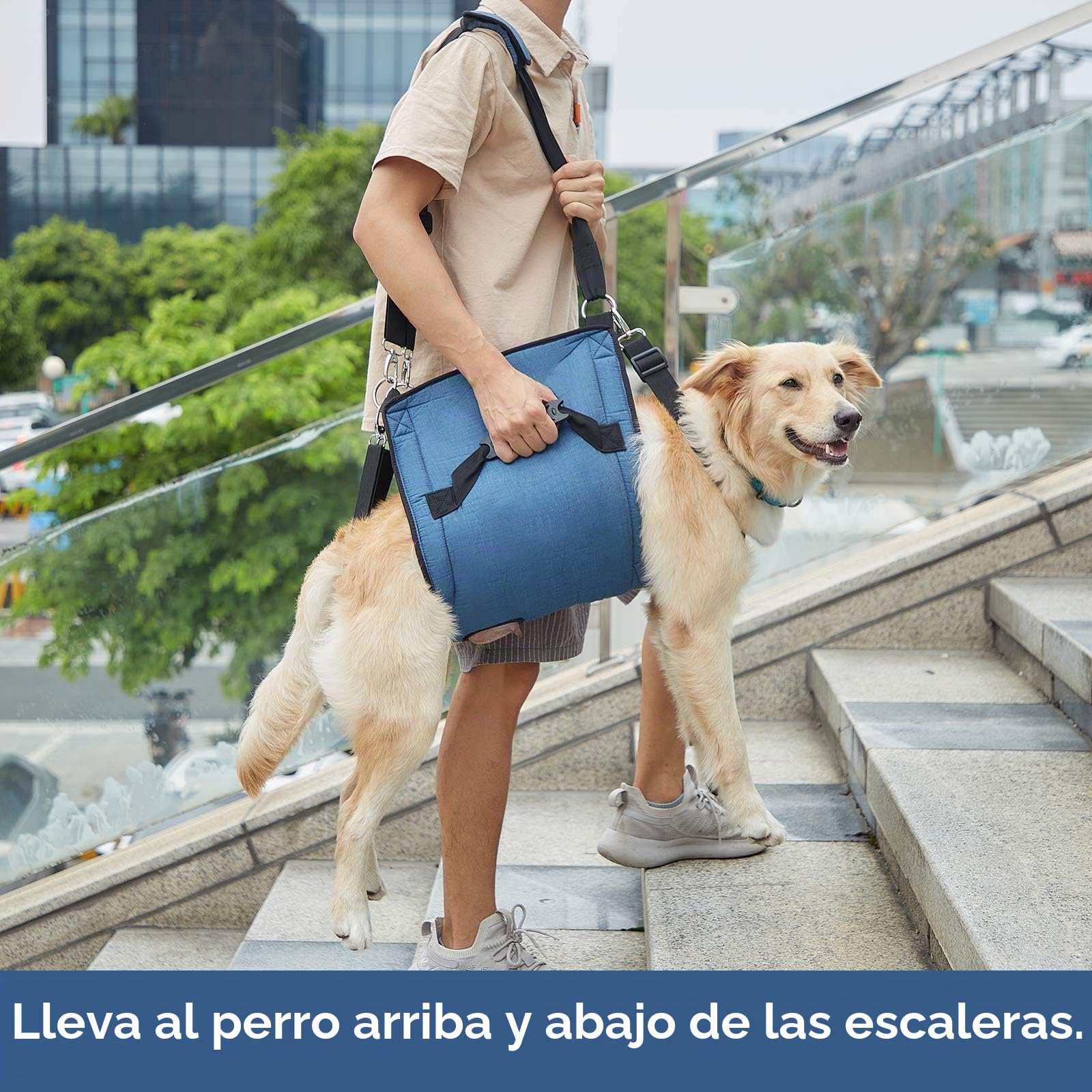 Coodeo Eslinga de Transporte para Perros, Mochila de Emergencia, Soporte para Las Piernas de Las Mascotas Y Arnés de Elevación para Perros de Rehabilitación para Cortar Las Uñas (M, Azul)