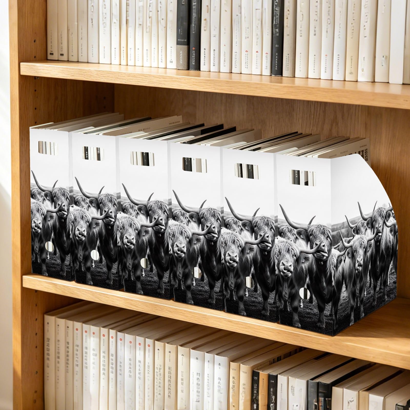 Płaski organizer na biurko z czarnego papieru Highland Cow