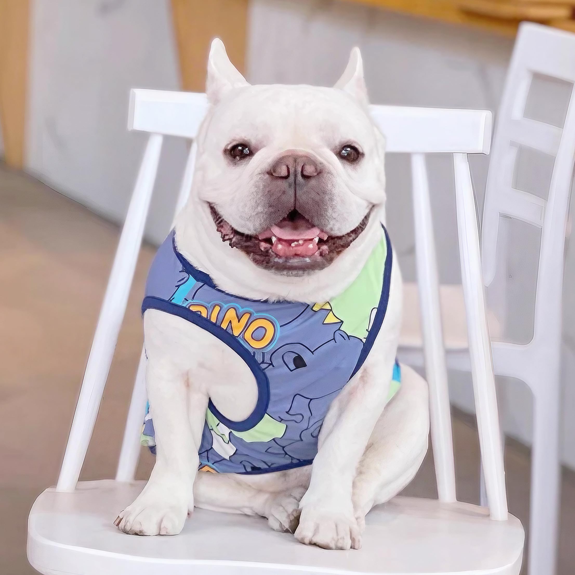 CHEERTAILS Dog Shirts for Small Medium Dogs French Bulldog Clothes,Funny Dog Dinosaur Shirts Frenchie Clothes for Pets, Breathable Puppy Sweatshirts Cotton Tank Top Costume Cats Tshirts,Blue,M