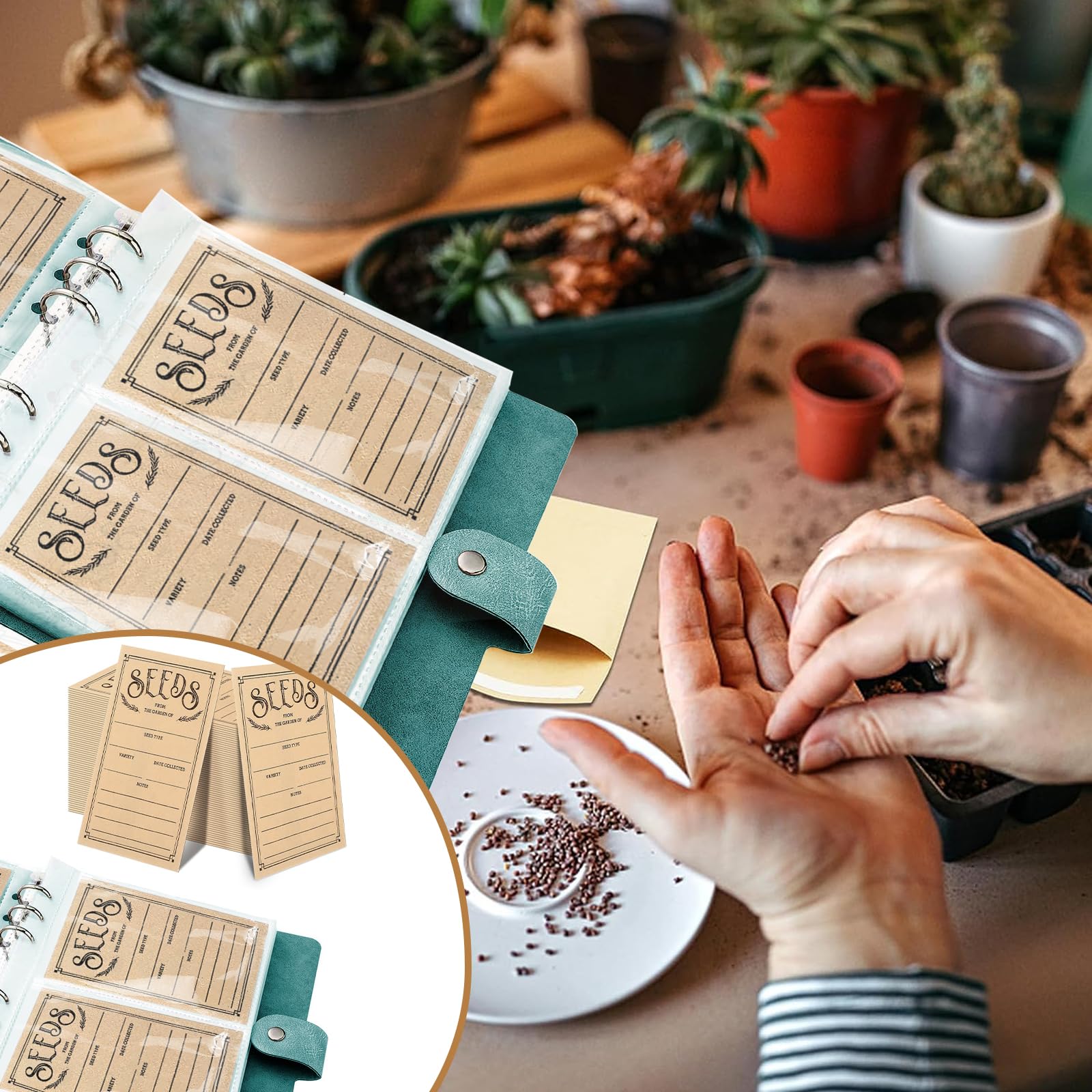 Lot de 100 enveloppes de stockage de semences, organiseurs auto-scellants pour jardin, paquets d'économie de graines idéales pour chaque jardinier (vert)