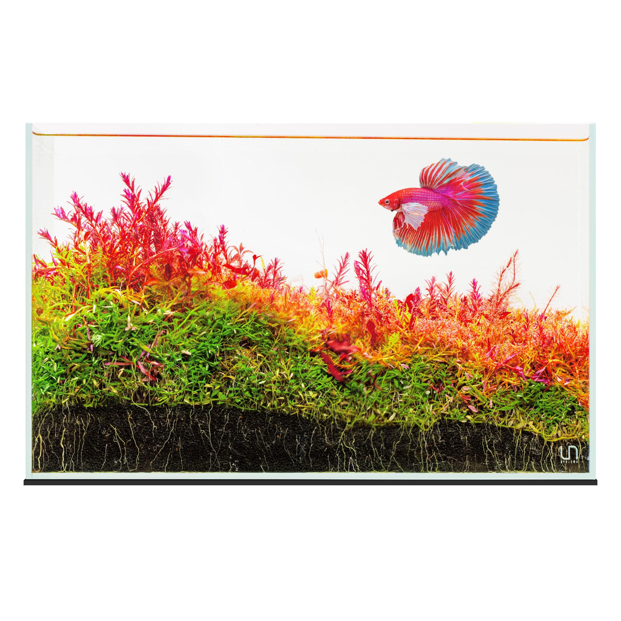 UNS Ultra Clear Rimless Tank - 9.3GAL | 35.2L - 17.71x11.02x11.02 | 45x28x28 CM, 5mm Glass Thickness, Leveling Mat Included - Low Iron, High Clarity Fish Tank w/ 45° Mitered Edge - [45U]