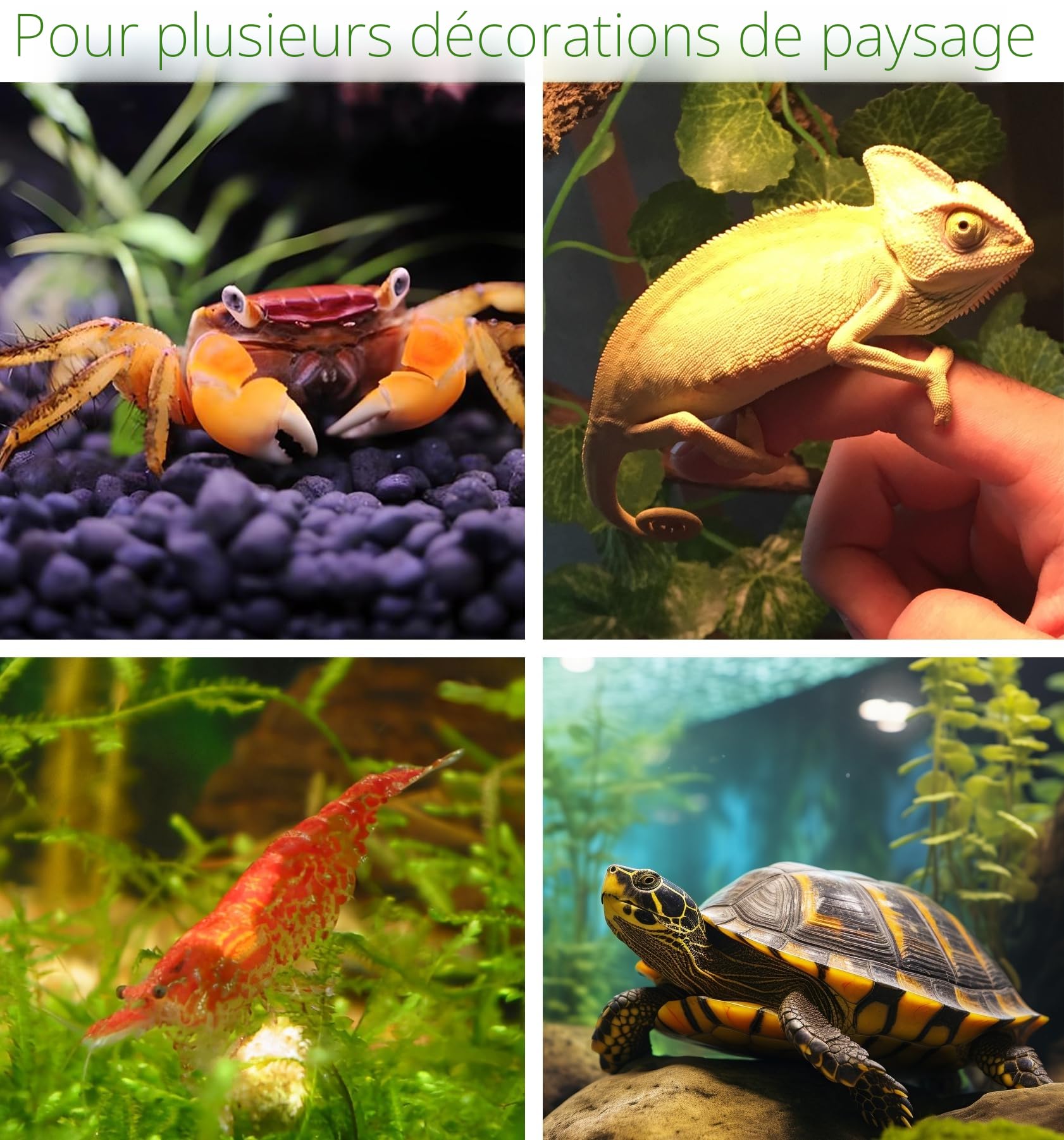 Roches pour Aquarium pour Poisson à se Reproduire, Jouer et se Reposer, Petites Céramique Pierres Décoratives pour Aquarium