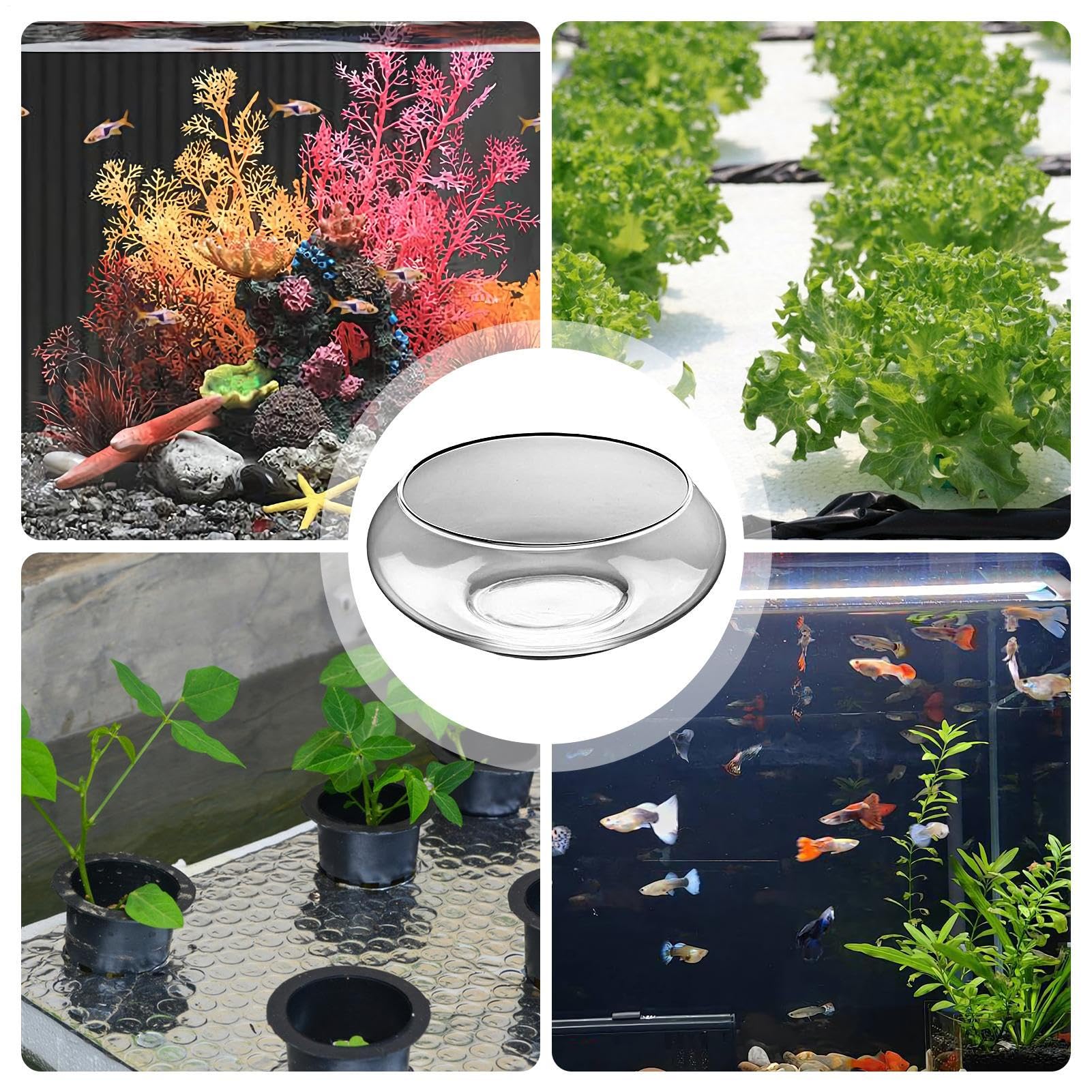 Glasschale für Pflanzen, Hydrokultur-Bonsai-, flach, breit, rund, Fischschale für Innenbereich, Heimdekoration, Tafelaufsätze, Pflanzen, Bonsai, Sukkulenten, Blumen-Display