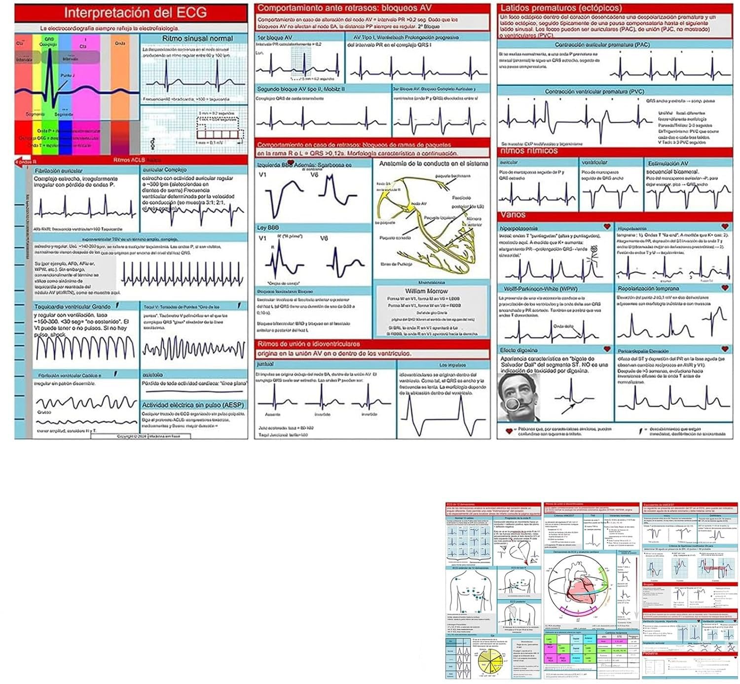 EKG Pocket Guide, EKG Rhythm Interpretation, Double Sided Compact Portable Reference Card, Rapid Interpretation EKG Pocket Nurses Guide, Paramedic Flashcards, EKG Interpretation Book (2pcs)