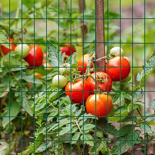 Miniatura 5 de Valla de alambre soldada con revestimiento de PVC negro de 48 pulgadas x 50 pies, 2 pulgadas x 4 pulgadas, 14GA, rollo de cercado de borde de