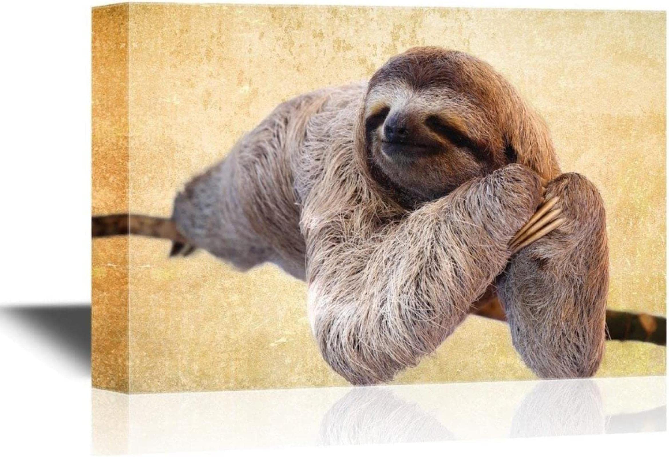 原画『 Hang ing 』アクリル水彩画 絵画 アート イラスト ナマケモノ