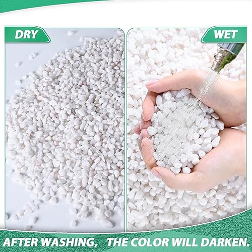 Miniatura 6 de Rocas suculentas para plantas, pequeños guijarros para macetas de 2.8 libras, grava de guisantes, pulido a granel, tierra de arena, pequeñas piedras