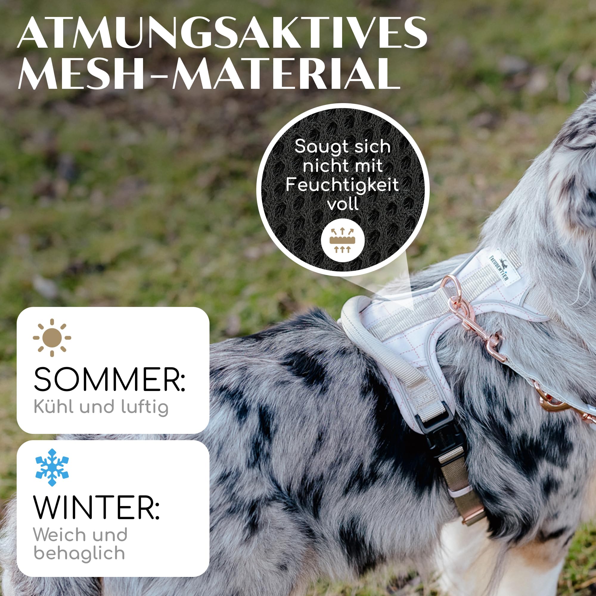 FREUDENTIER Hundegeschirr mit Griff, atmungsaktiv gepolstert - Bombenfester Sitz & maximale Sicherheit - Anti Zieh Brustgeschirr kleine, mittelgroße & Grosse Hunde