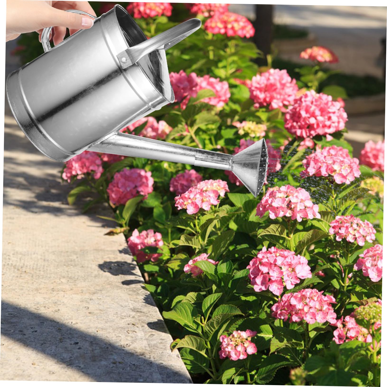 Générique Arrosoir en pour Plantes D'intérieur Arrosoir à Long Bec 5l Poignée pour Arrosage Intérieur Et Extérieur Brumisateur Pratique Et Robuste