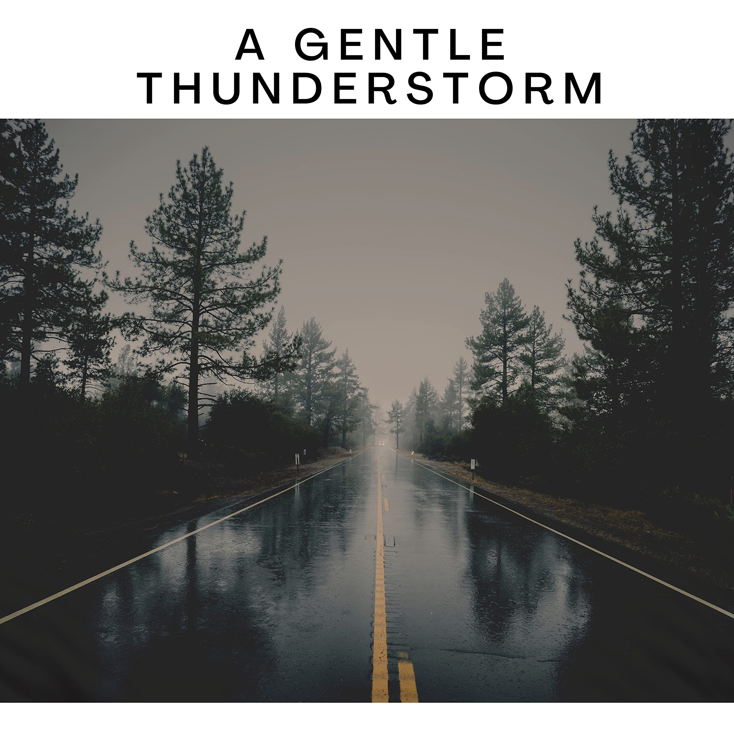 Tropical Thunderstorm, Rain Sound and Birds