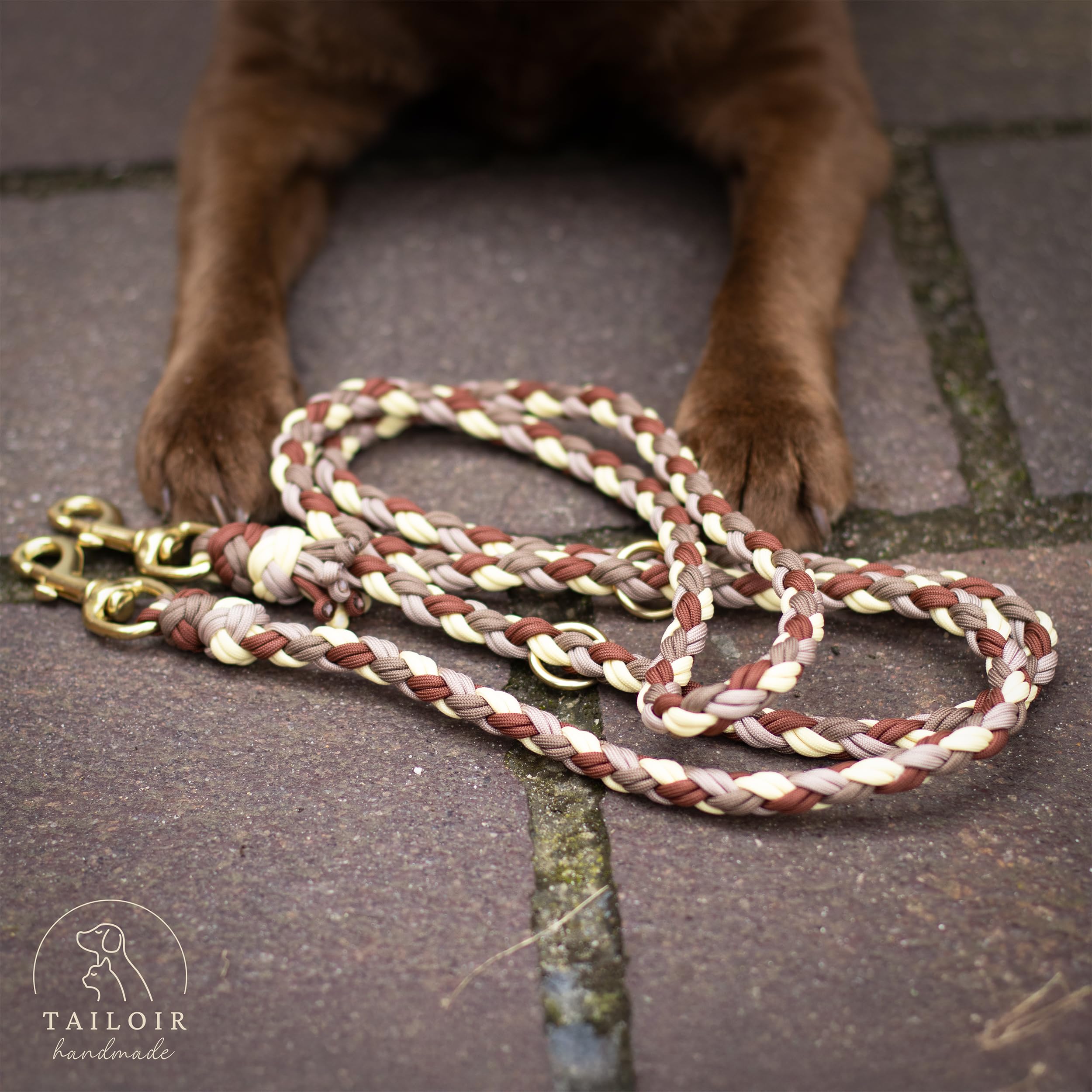 Hundeleine 2m geflochten - Leine Hund, Mittelgroße - Große Hunde, Leine verstellbar, Hundeleinen, Dog Leash Führleine, Bissfeste Hundeleine zum Umhängen, Trainingsleine, Freihandleine Paracord