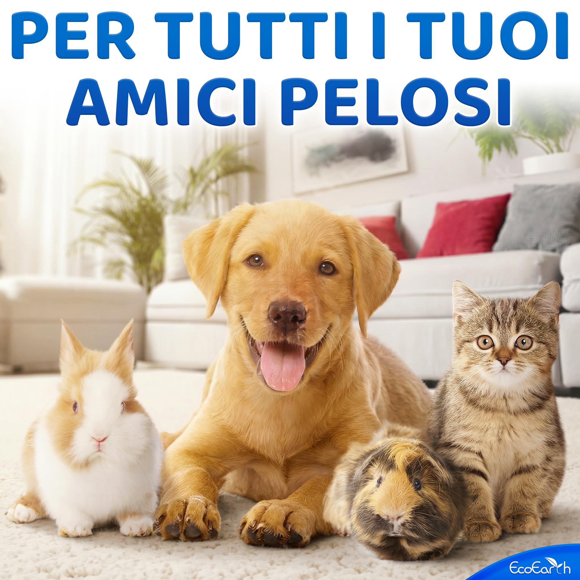 EcoEarth Guanti Premium per la Pulizia di Cani e Gatti - 2 Sacchetti da 20 Pezzi ciascuno - Guanti Monouso per Il Bagnetto, la Deodorazione e la Toelettatura - Guanti da Bagno per Cani