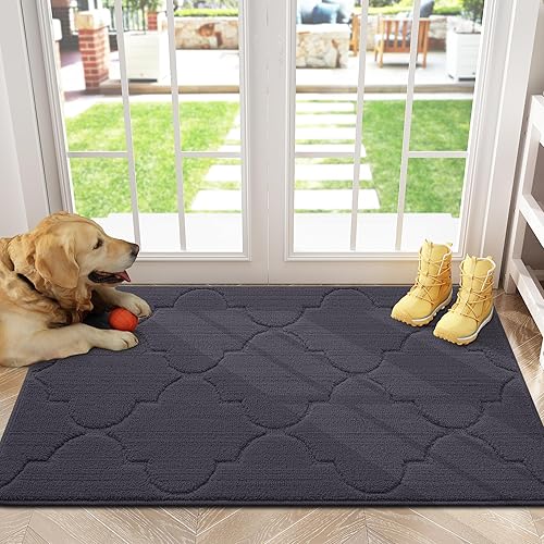 Arotive Tapete para interiores, antideslizante, resistente a la suciedad, absorbente, de perfil bajo para puerta delantera de entrada (20 x 32