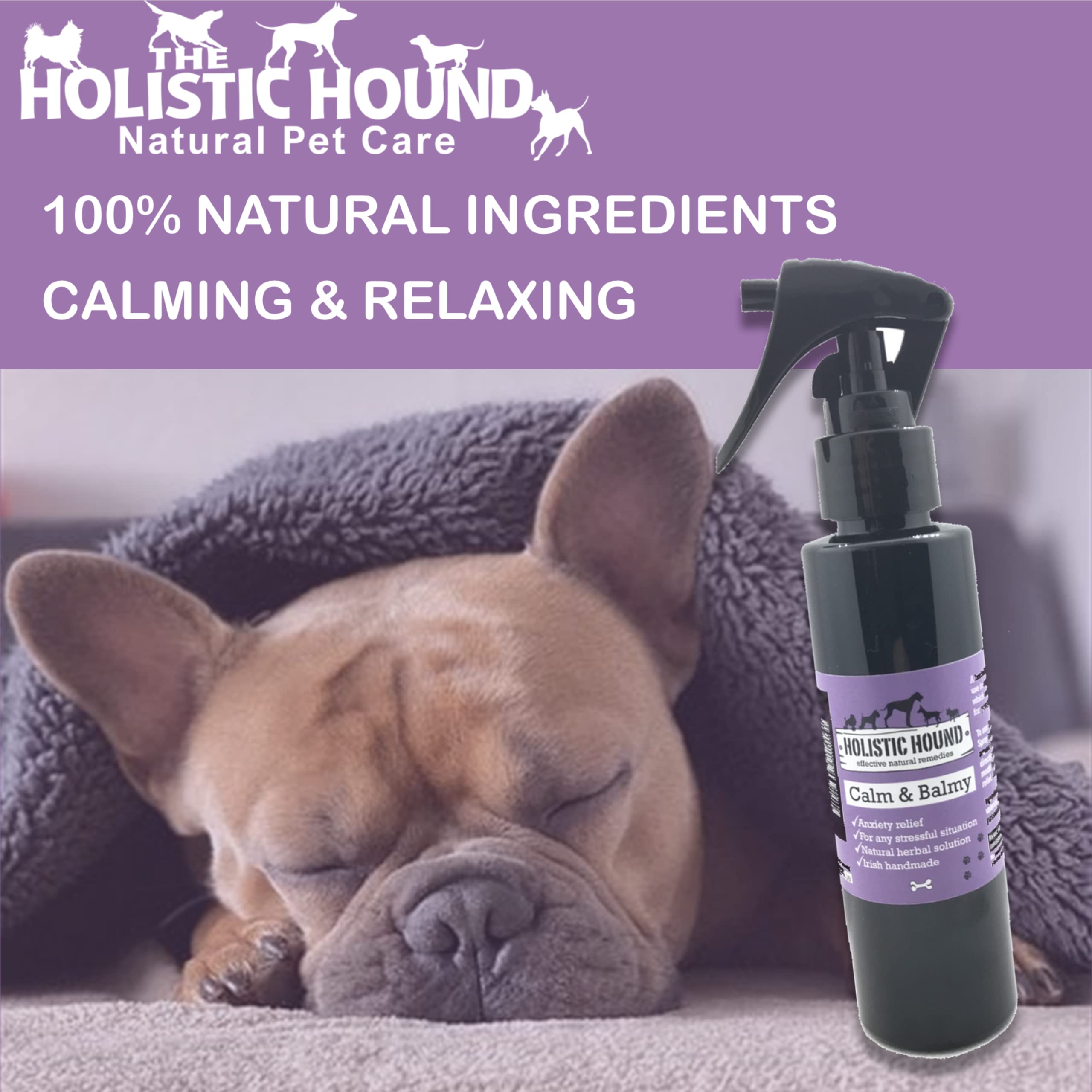 Isabella's Clearly Calm & Happy Für Hunde – Beruhigende Aromatherapie Mit Lavendel & Neroli
