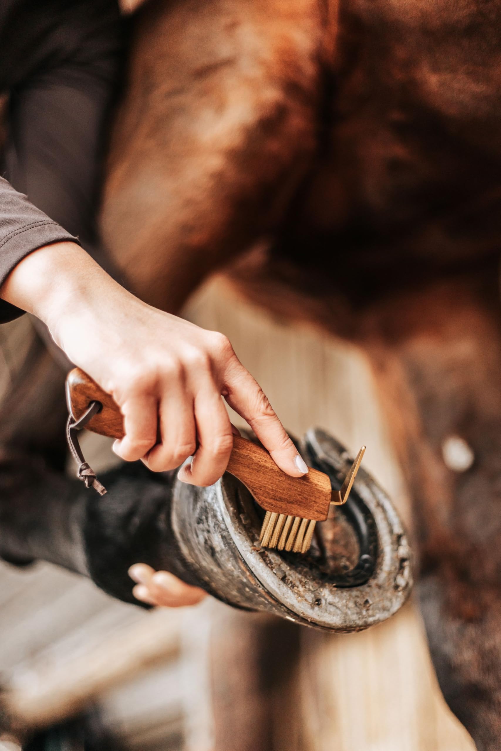 Equimour "Lilo" Hoof Pick, Brown, Gold - Image 3