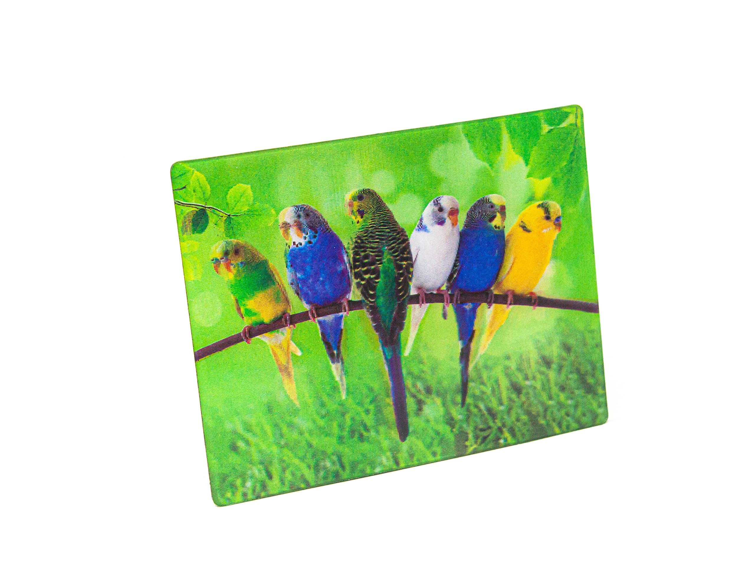 3D Magnet Budgies Fridge Magnets 9 x 7 cm Animals Pets Birds