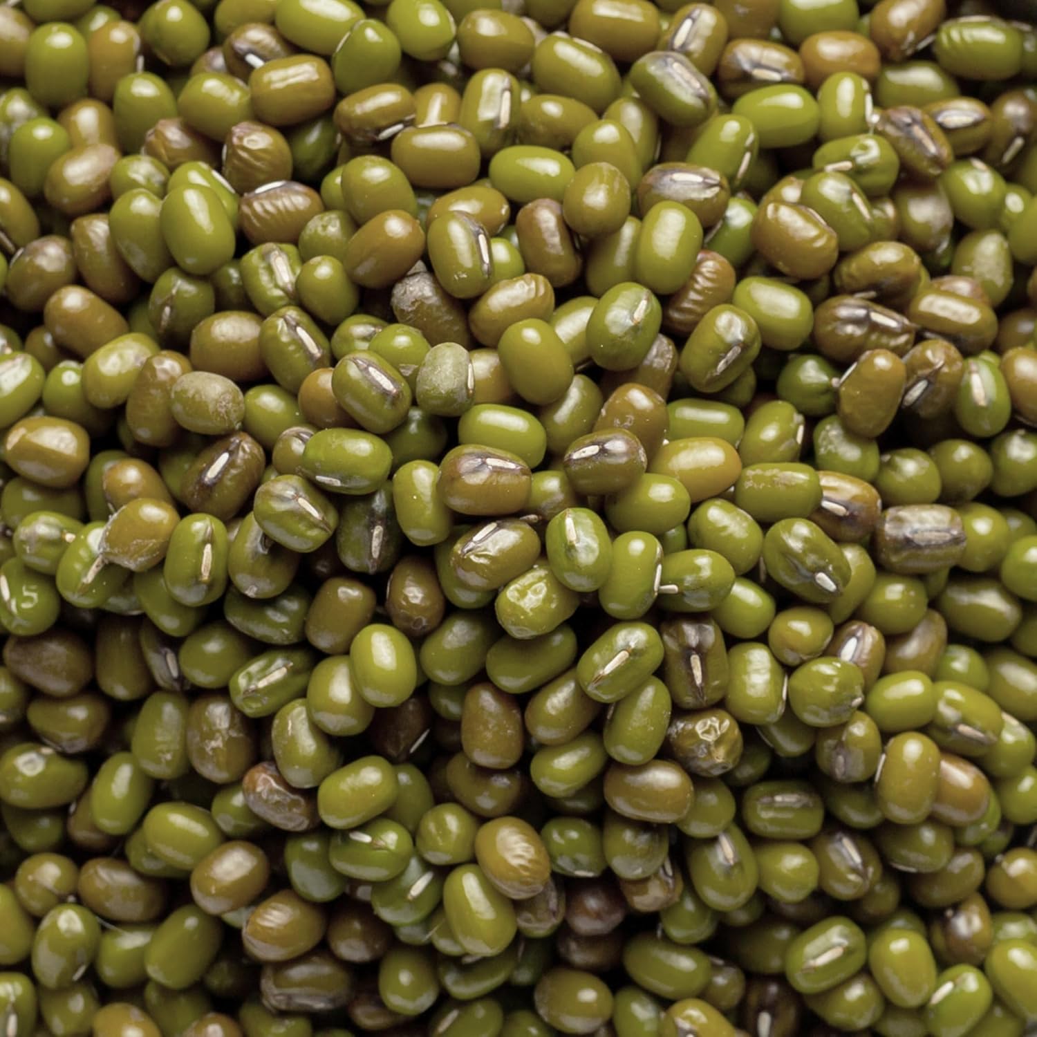 Dry Roasted Salted Green Edamame 3 Lbs. - Healthy diet snacks - Crunchy Dry Roasted Edamame Beans Snack - Kosher, in Resealable Bag 48 Oz