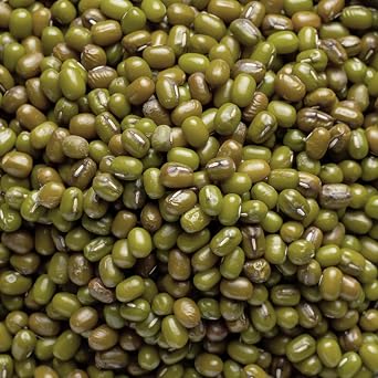 Dry Roasted Salted Green Edamame, 3 lb Resealable Bag