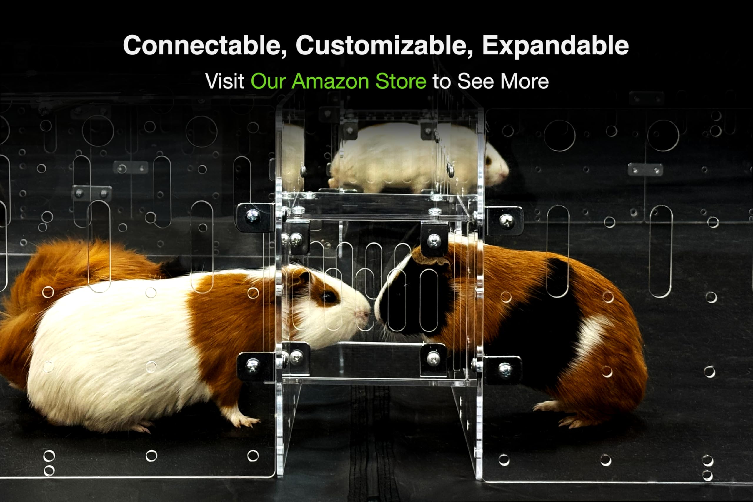 GuineaLoft Acrylic Cage (Model-A) – Large 4x2ft Habitat for Guinea Pigs ...