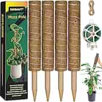 Toxx MOSS STICK 50SW 81sAE7-WsuL._AC_SY200_QL15_.jpg