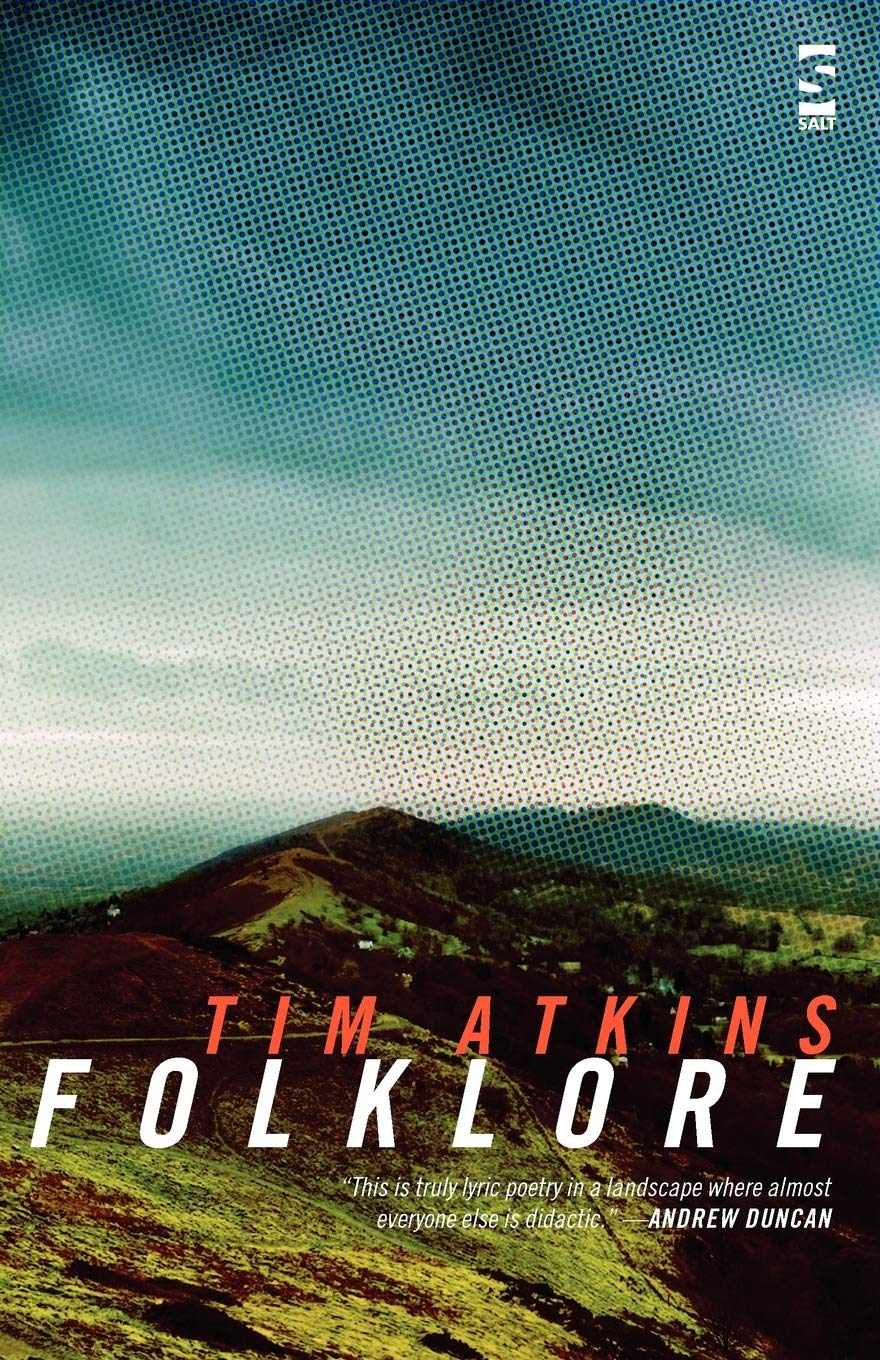 Folklore (Salt Modern Poets)
