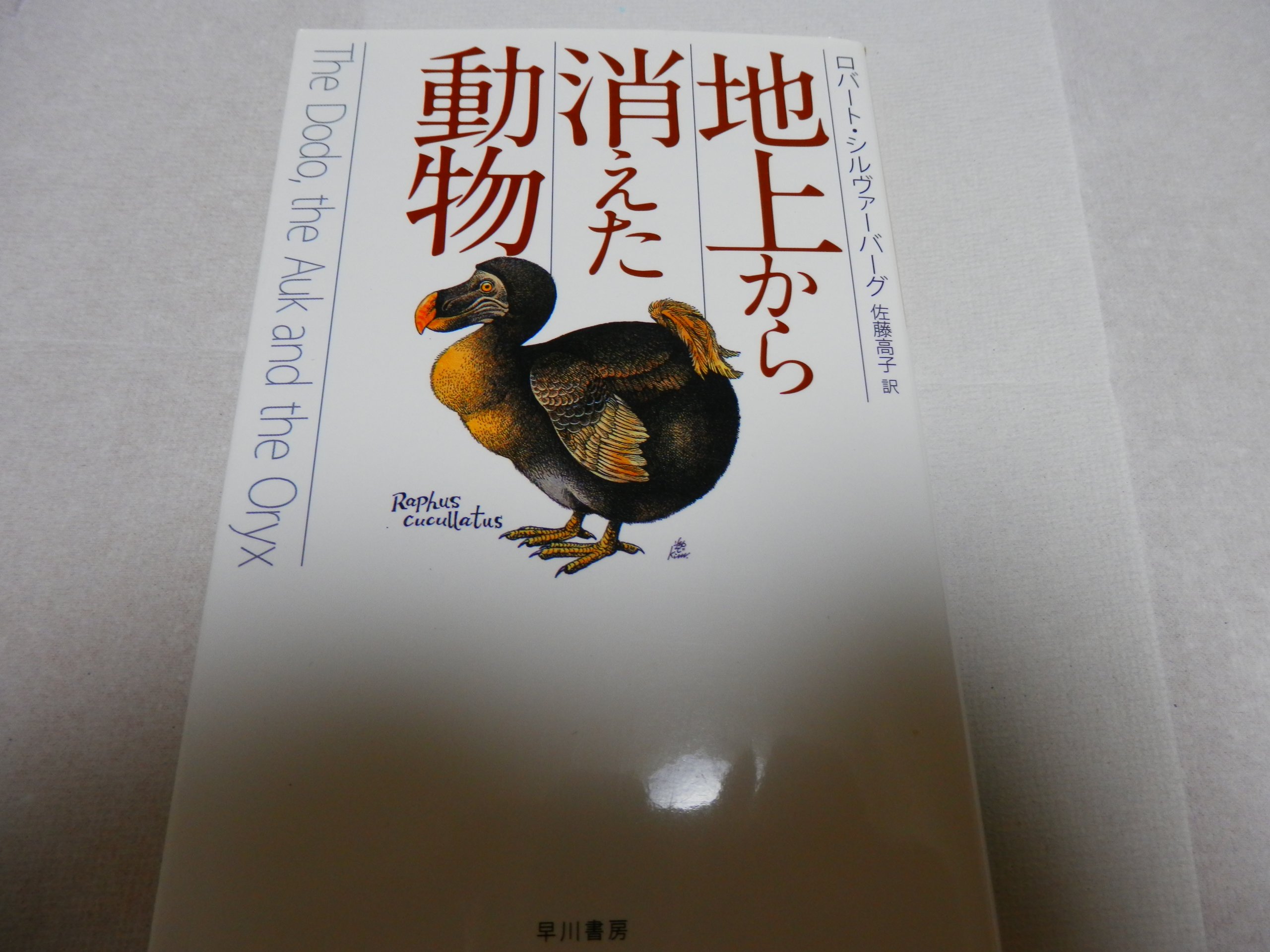 【中古】 動物誌（第7巻） Amazon.co.jp: 全集日本動物誌 7 : 本