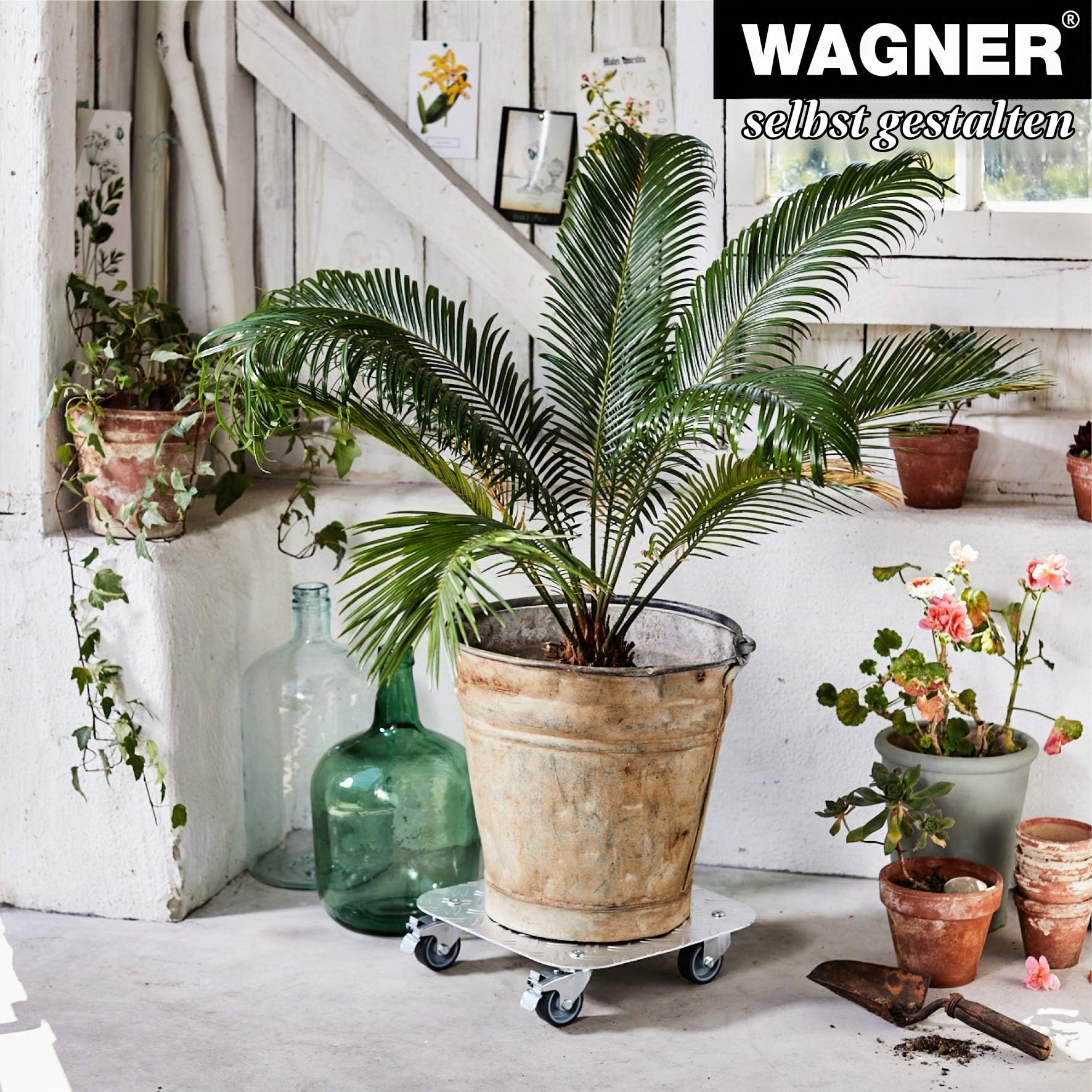 WAGNER Pflanzenroller Alaska 29 x 29 x 7,5 cm I Blumenroller für Außenbereich + Innenbereich I Kübelroller aus Aluminium Riffelblech I 2 Total-Feststeller I Tragkraft 100 kg I Made in DE- 20700301