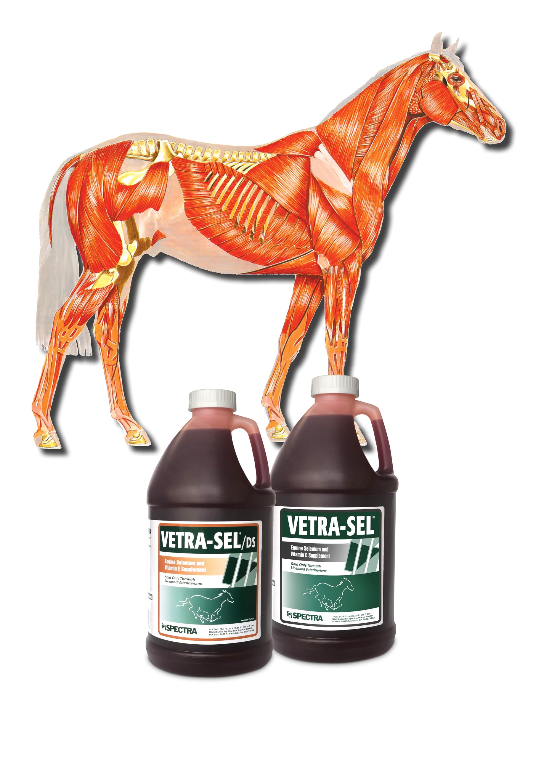 Vetra-SEL, Selenio + Vitamina E per Cavalli