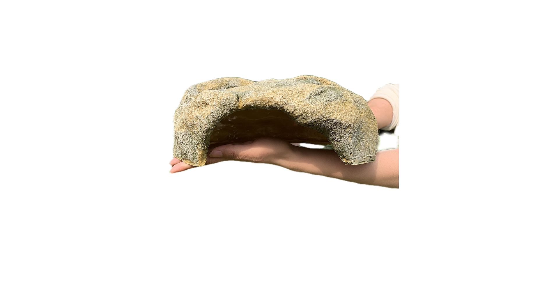 HIDEOUT DAC National Geographic おまけ付 81sAPC9tdgL.jpg_BO30,255,255,