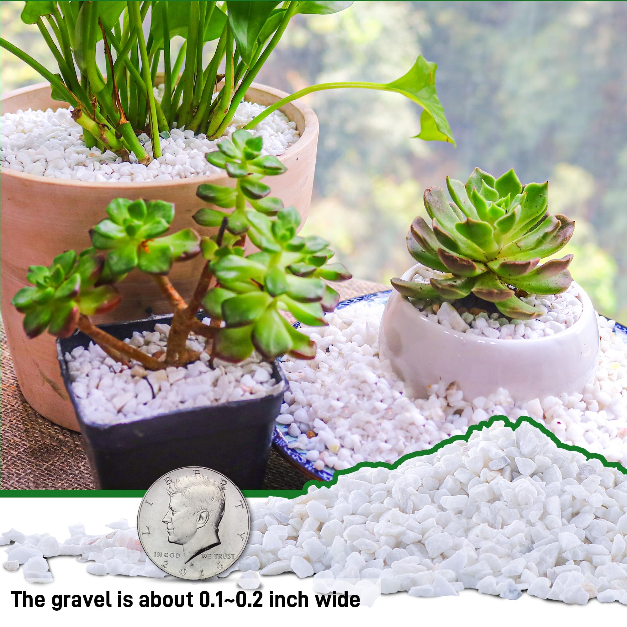 Grava blanca de 45 libras de 1/4 pulgadas para suculentas, bonsái de cactus, terrario de bricolaje, jardinería de hadas, aderezo superior, acuario