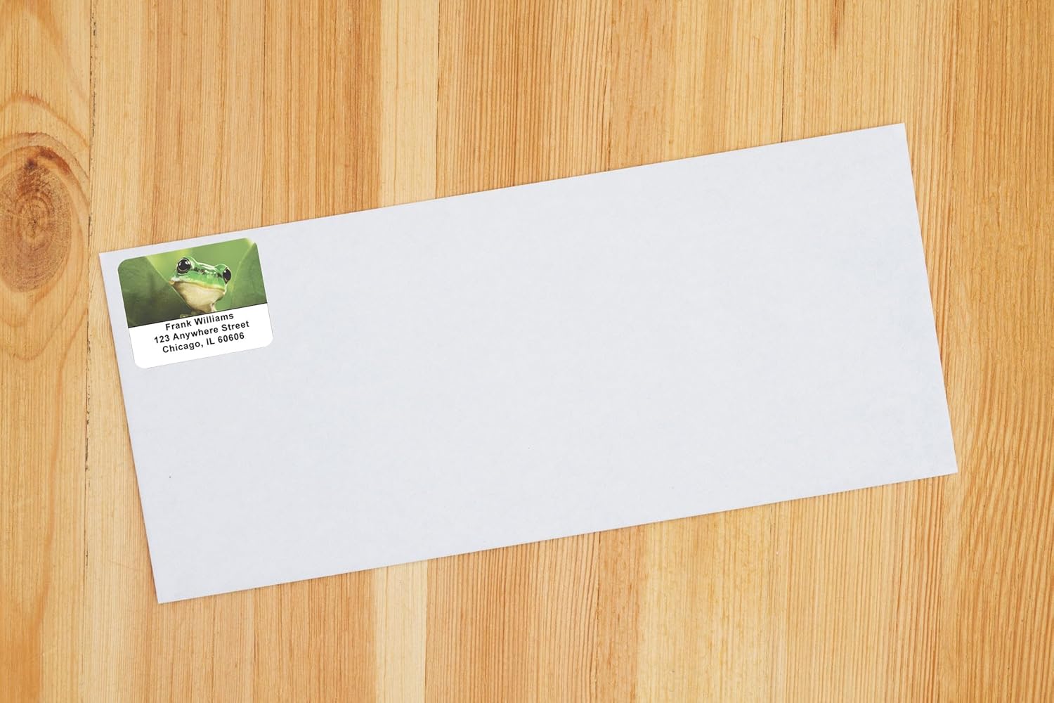 Frogs Address Labels
