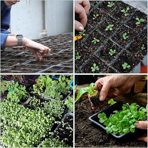 Miniatura 7 de Bandejas de inicio de semillas, kit de germinación de plantas XL gruesas con cúpula de humedad, bandejas de cultivo duraderas para invernadero y