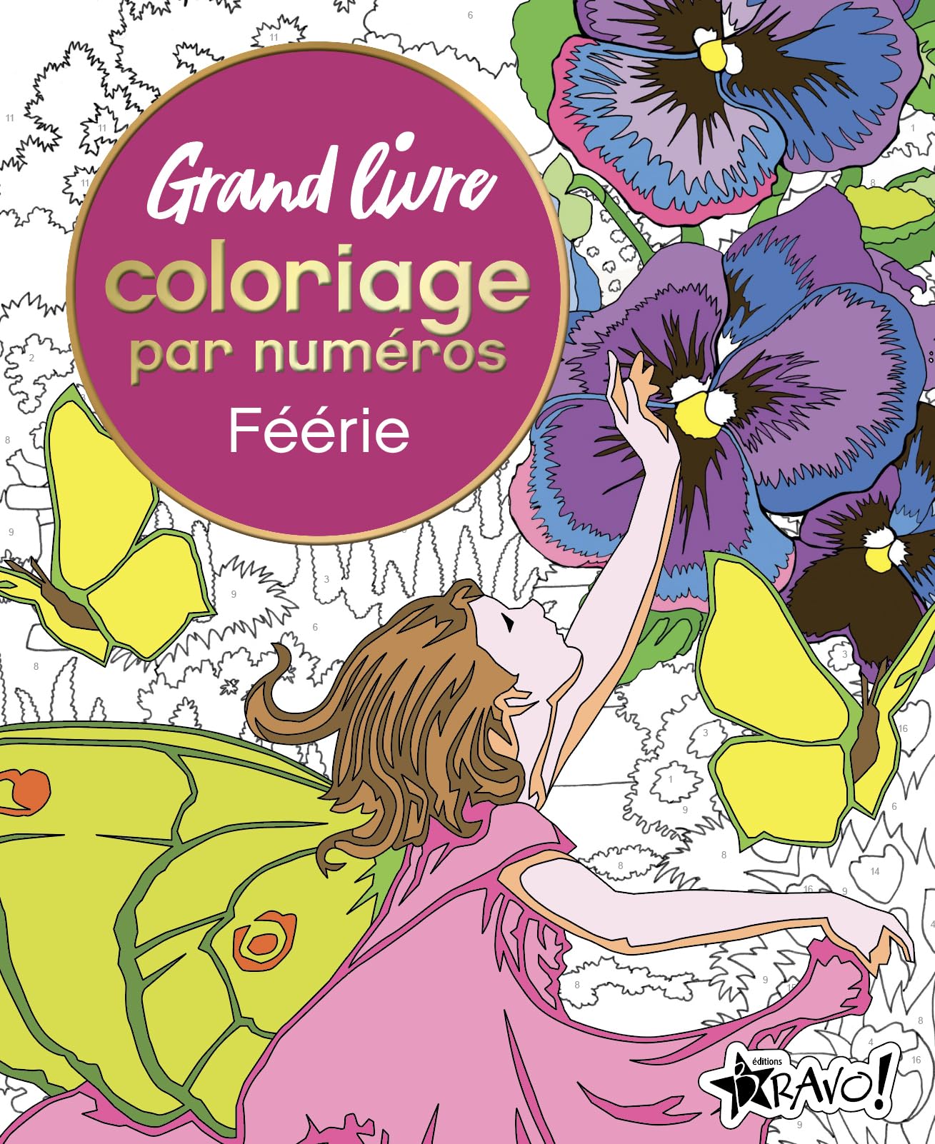 Grand livre coloriage par numéros - Féérie