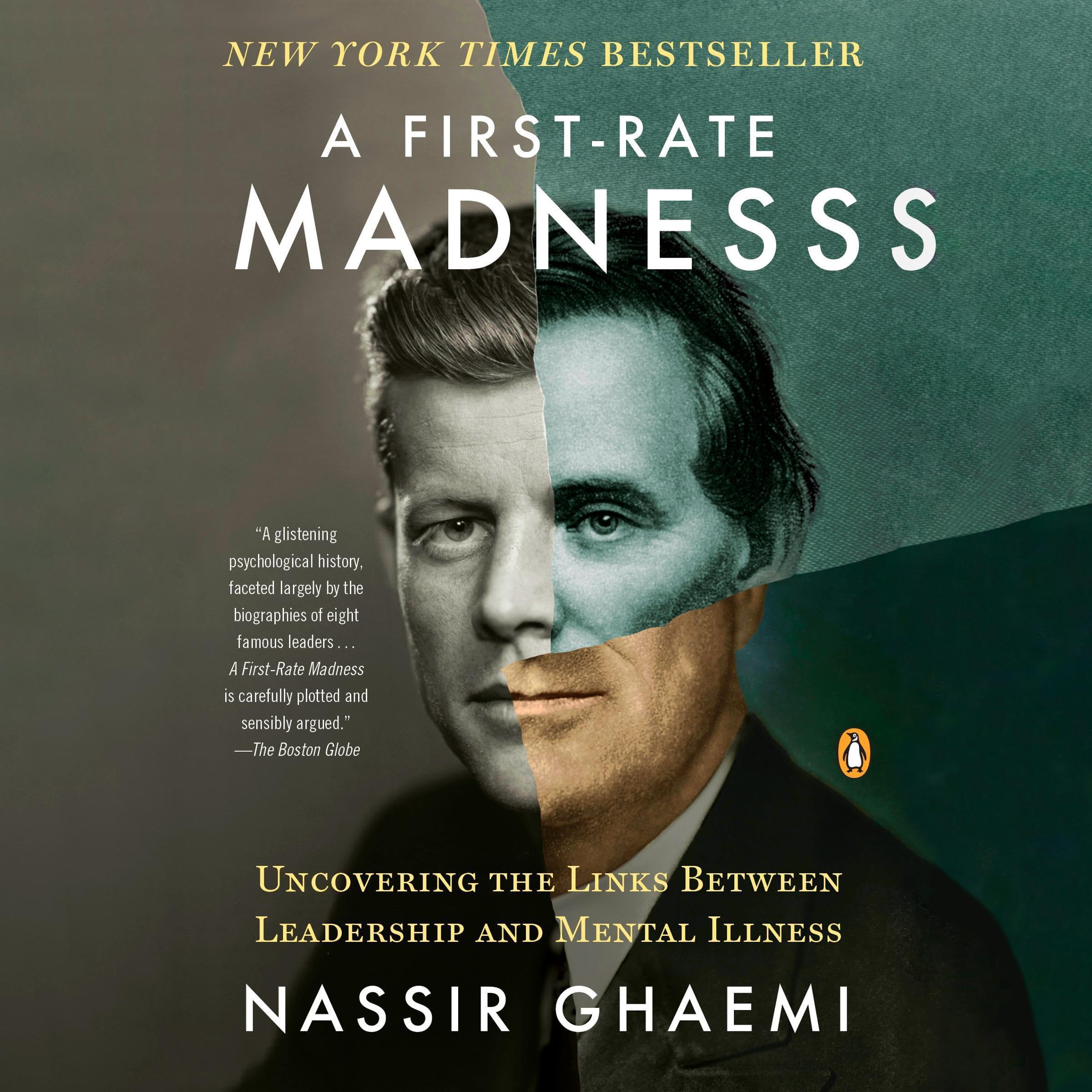 Cover art for A First-Rate Madness