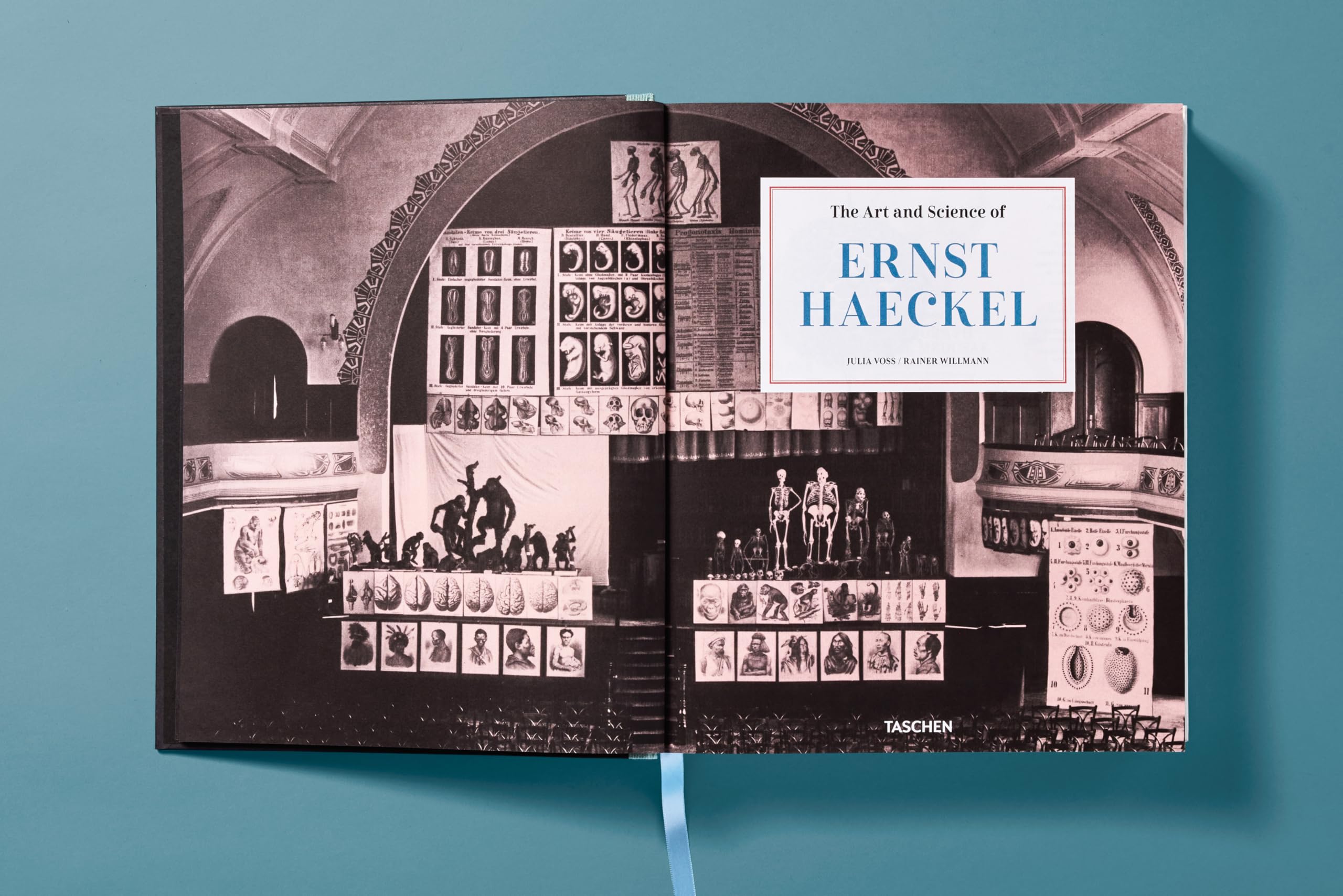 The Art and Science of Ernst Haeckel